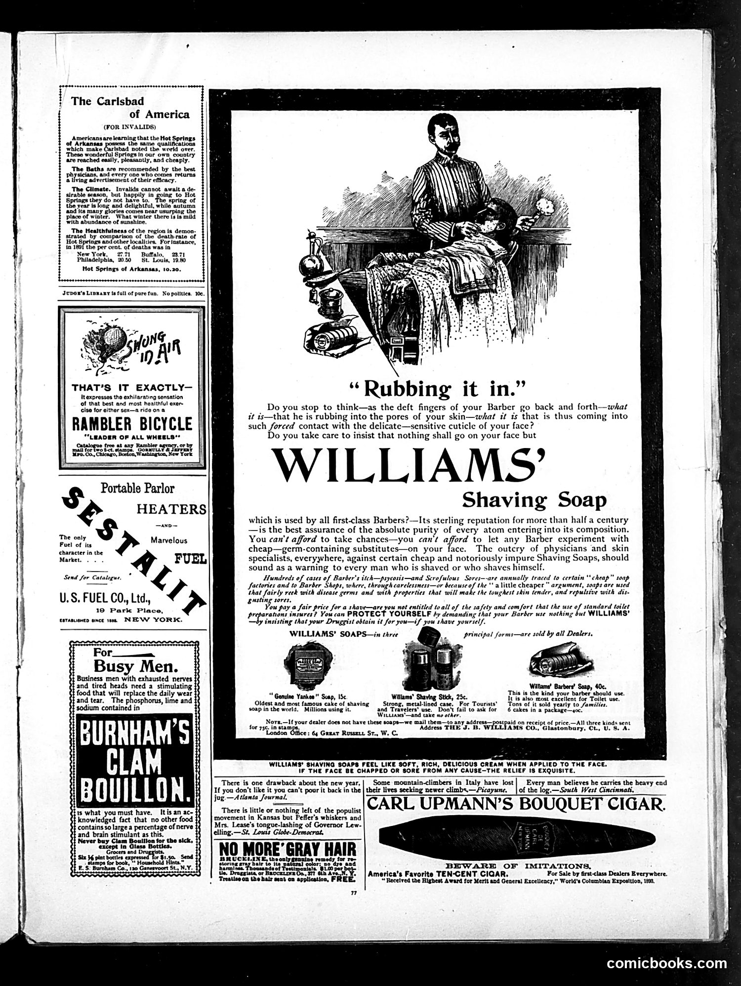 Judge — February 3, 1894 — page 13 of 16