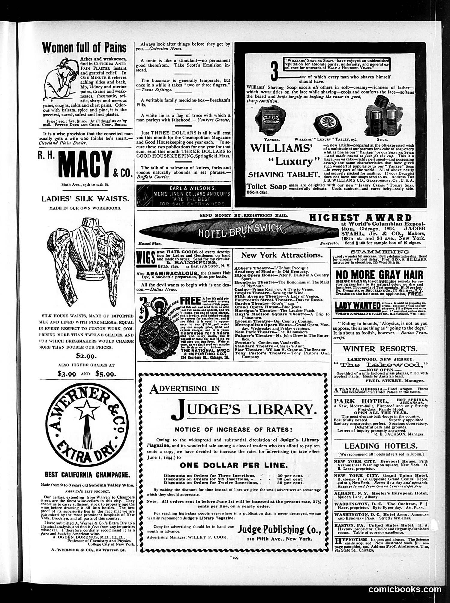 Judge — February 17, 1894 — page 13 of 16
