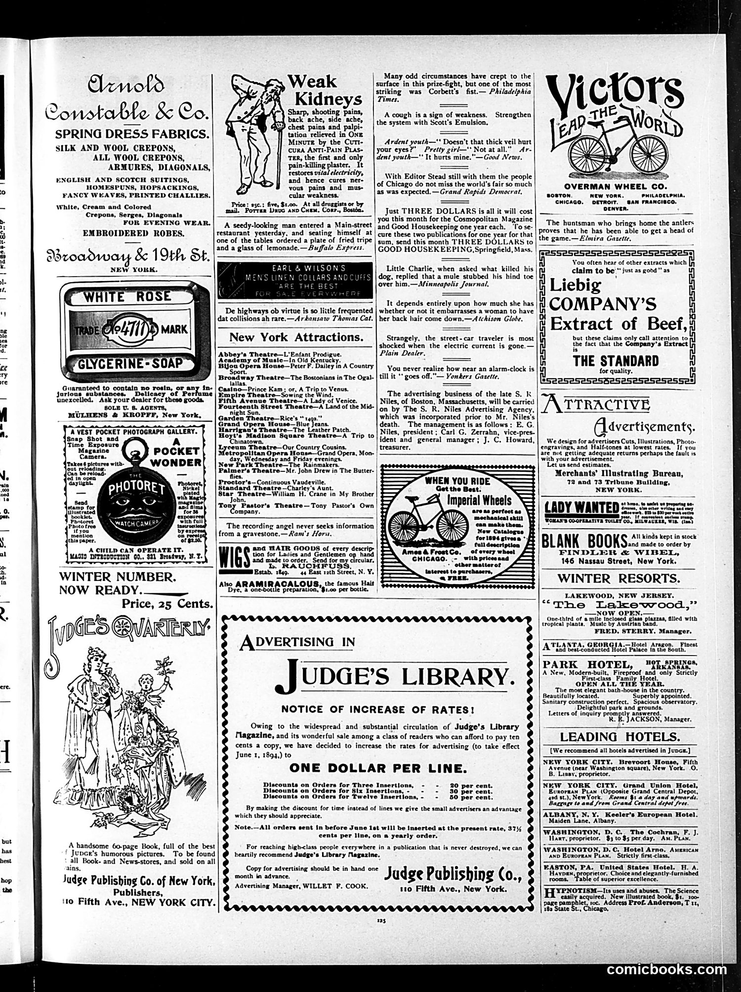 Judge — February 24, 1894 — page 13 of 16