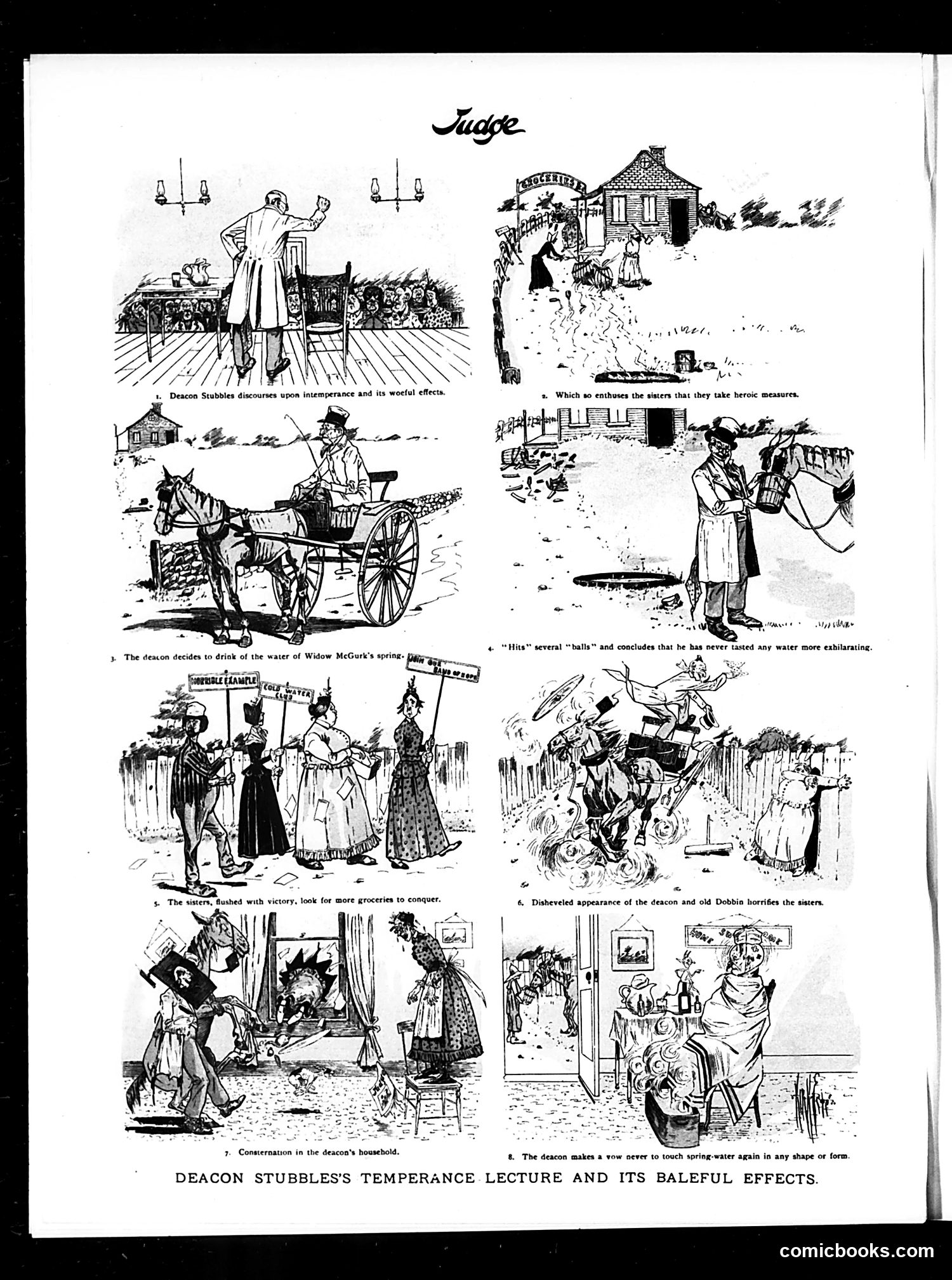 Judge — May 12, 1894 — page 16 of 16