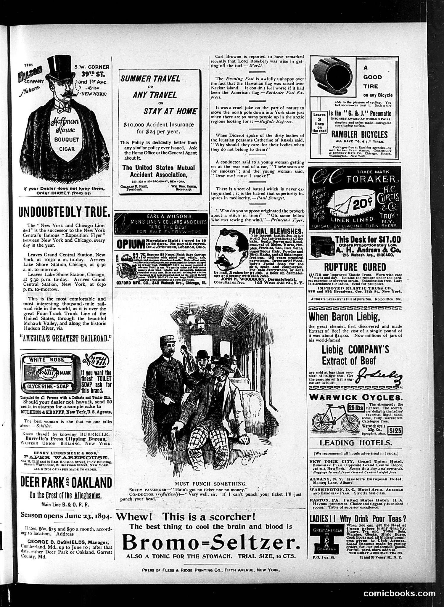 Judge — July 21, 1894 — page 15 of 16