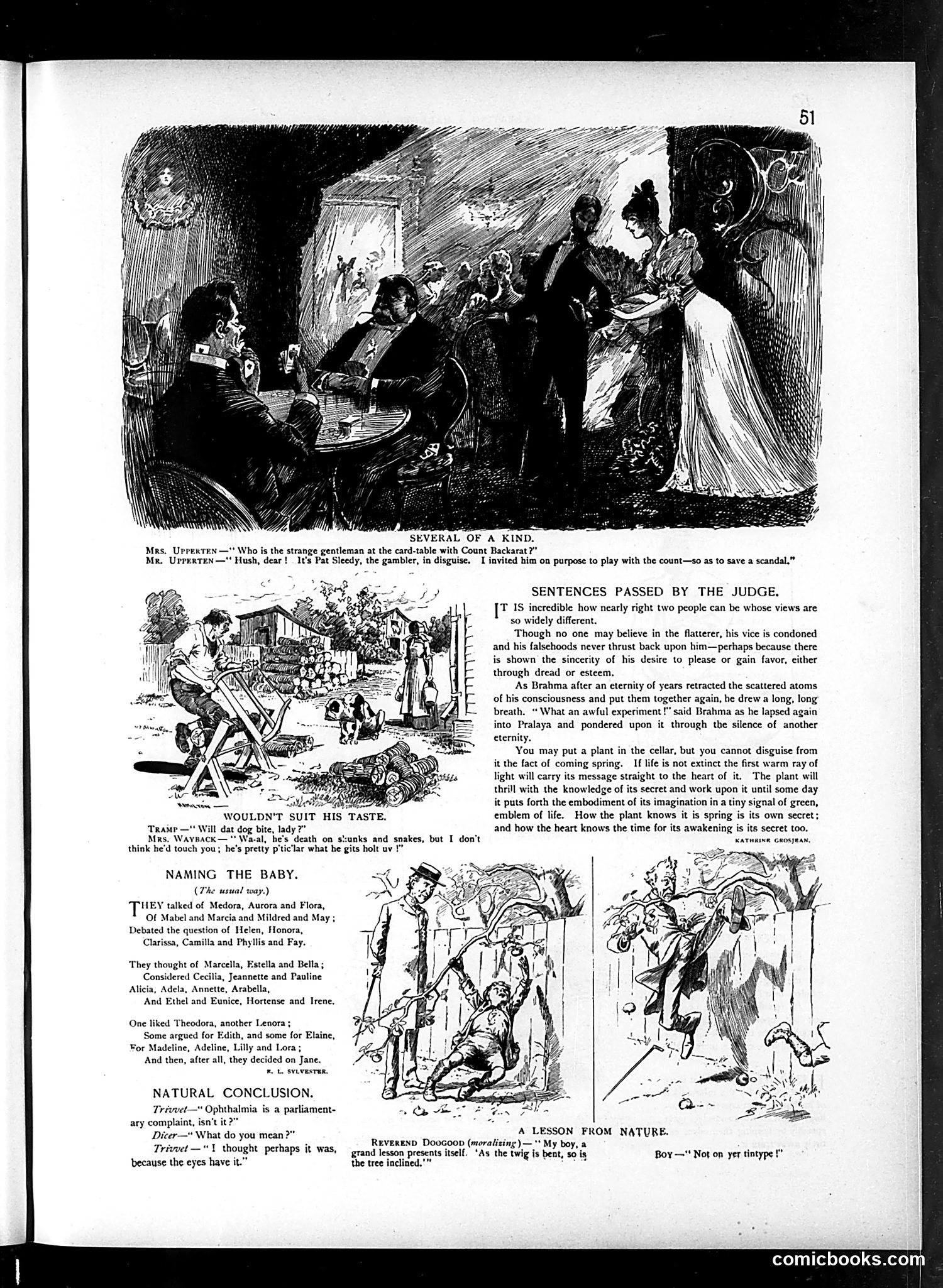Judge — July 28, 1894 — page 3 of 16