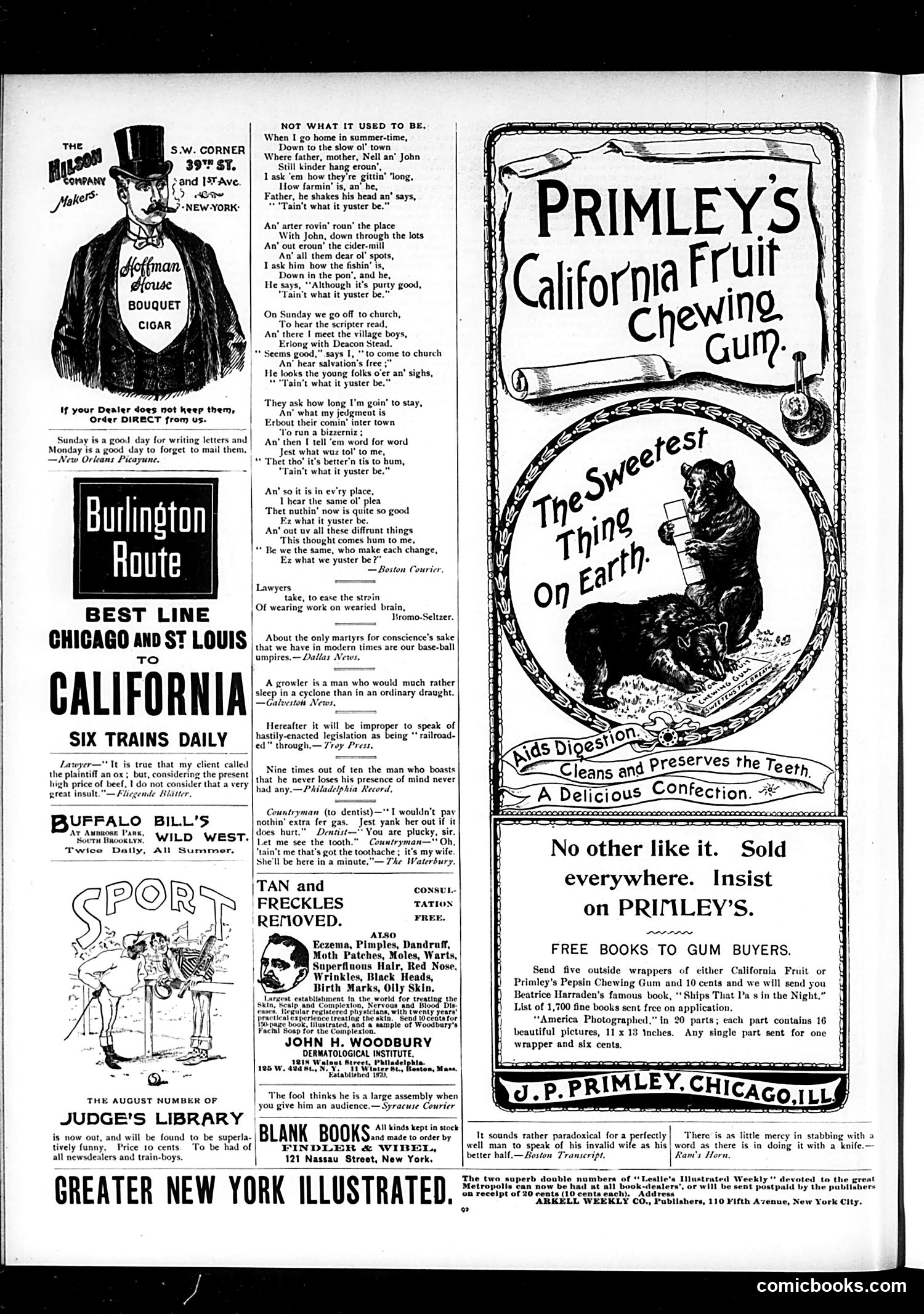Judge — August 11, 1894 — page 12 of 16