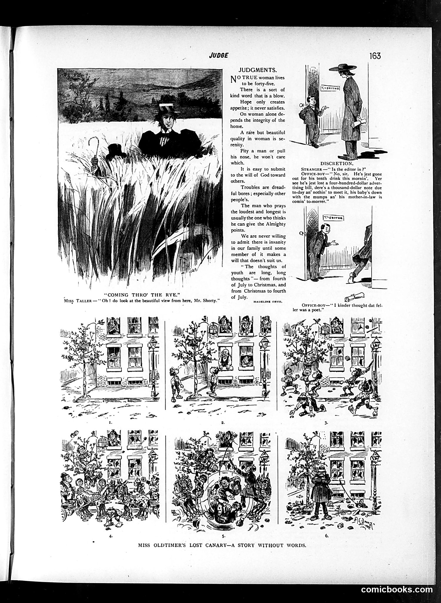 Judge — September 15, 1894 — page 3 of 16