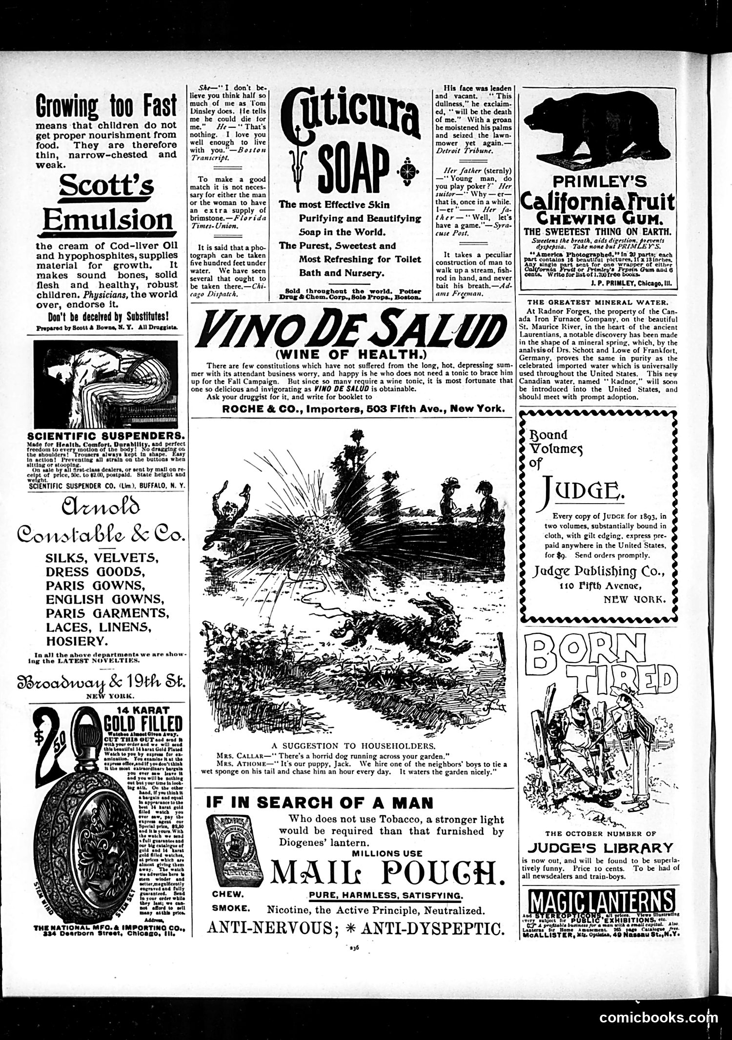 Judge — October 13, 1894 — page 12 of 16