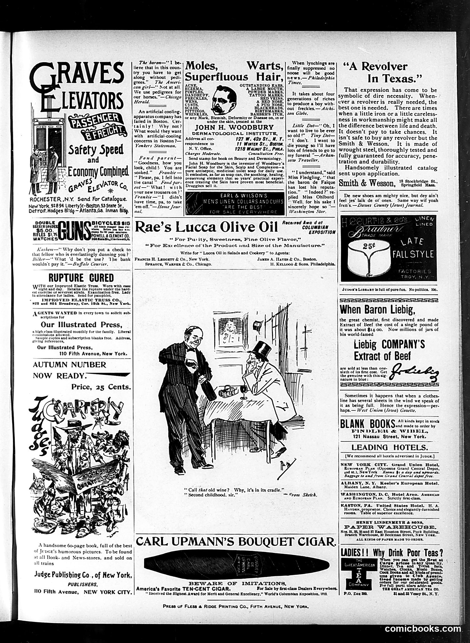 Judge — October 20, 1894 — page 15 of 16