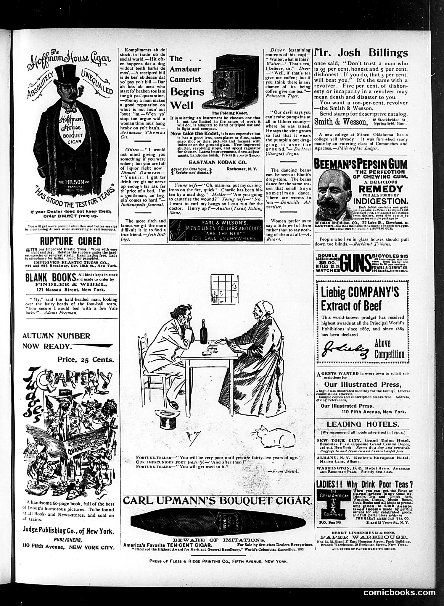 Judge — November 17, 1894 — page 15 of 16