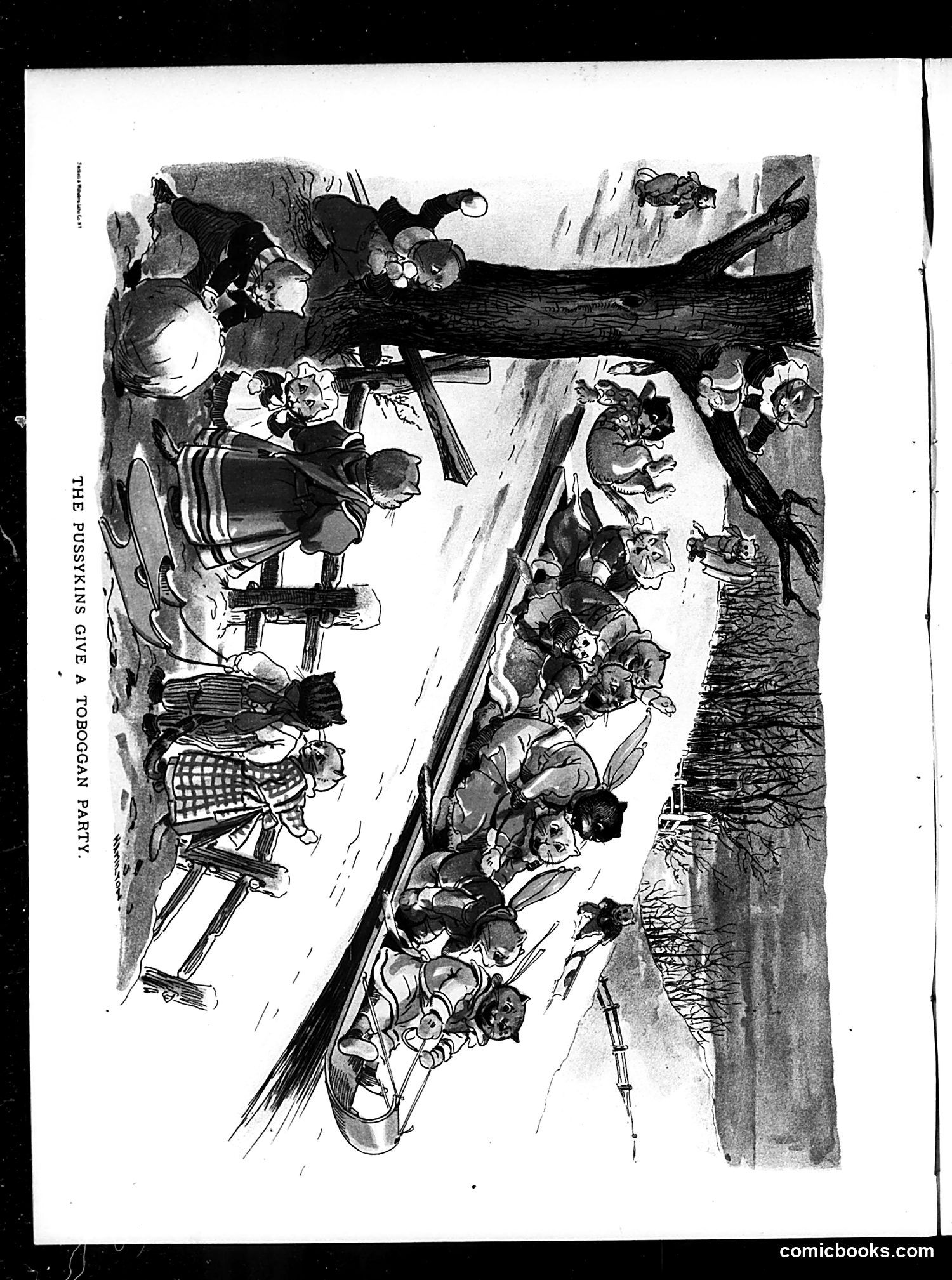 Judge — December 8, 1894 — page 24 of 60