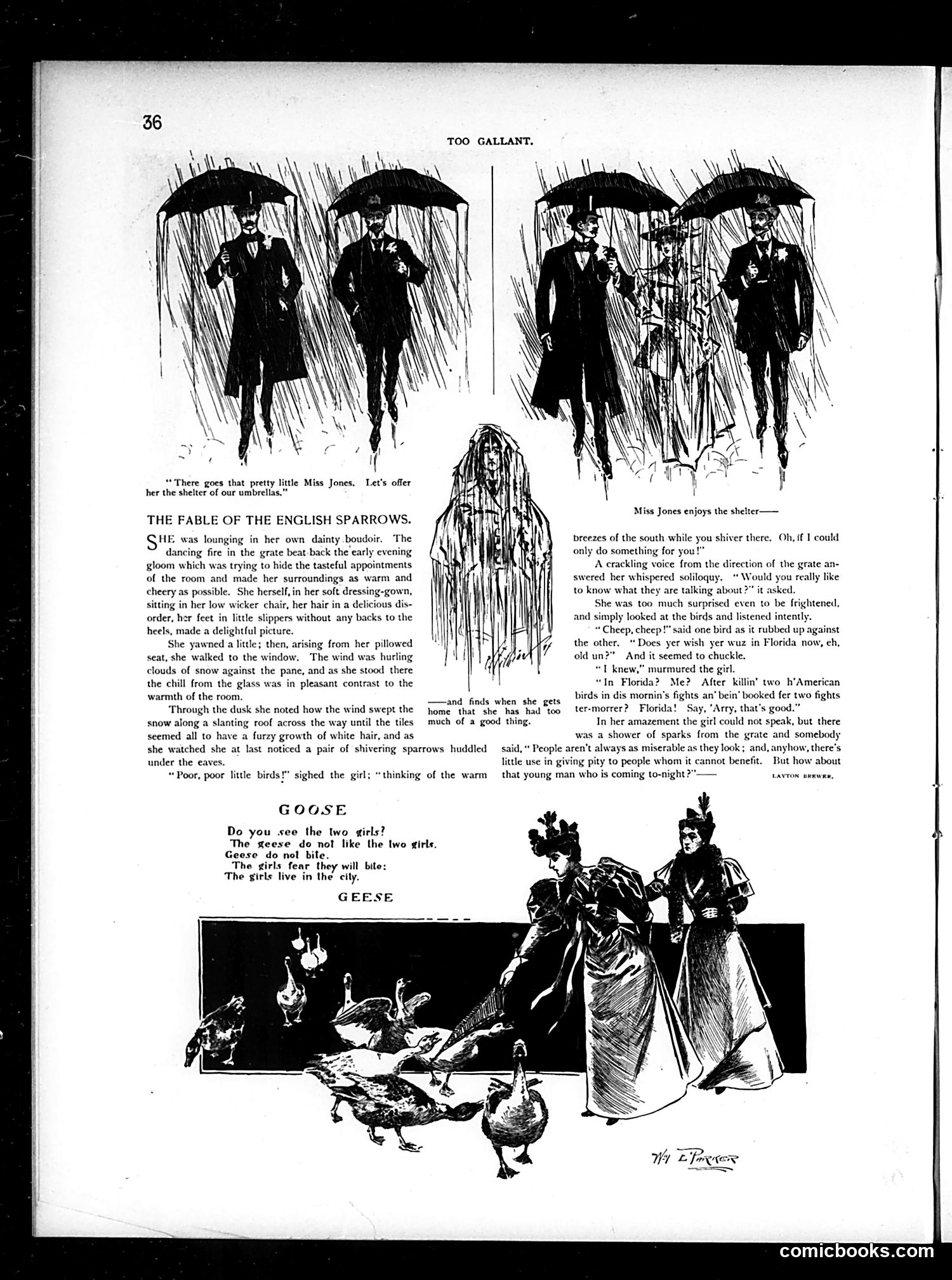 Judge — December 8, 1894 — page 46 of 60