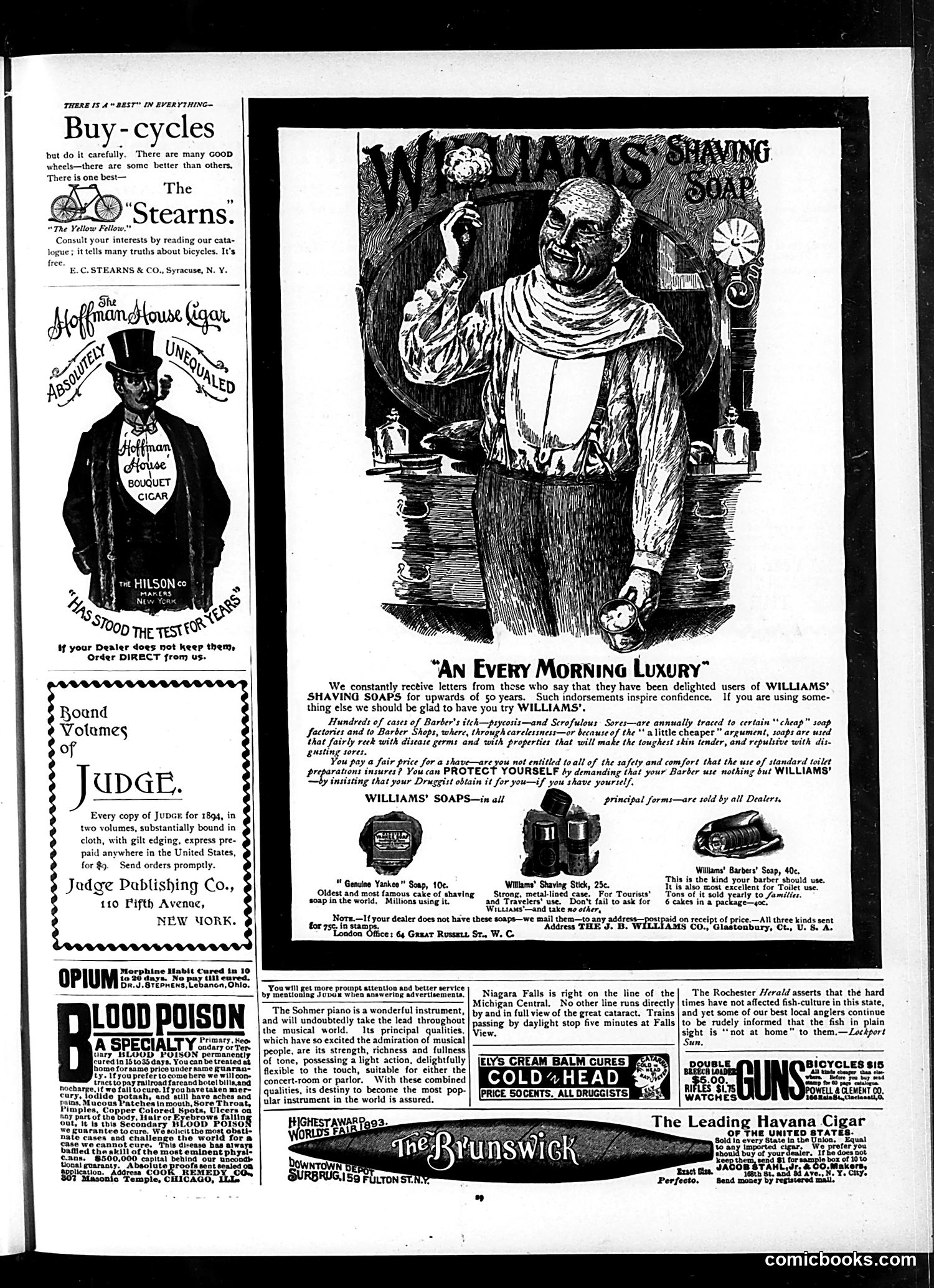 Judge — January 12, 1895 — page 13 of 16