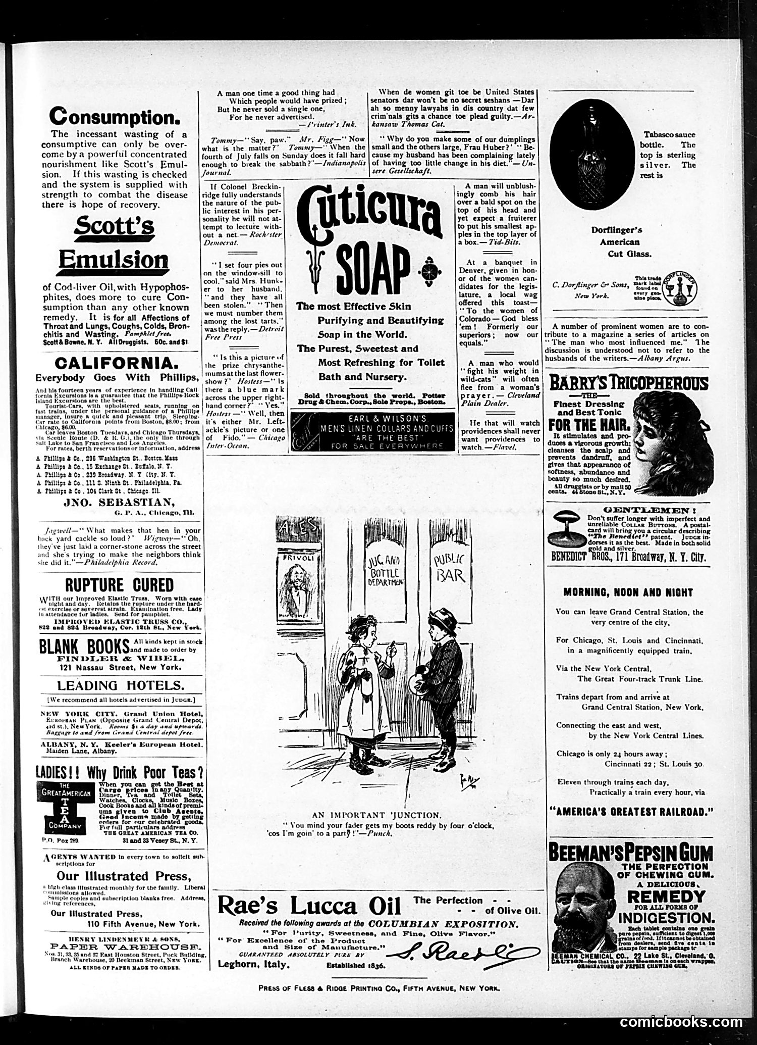 Judge — January 12, 1895 — page 15 of 16