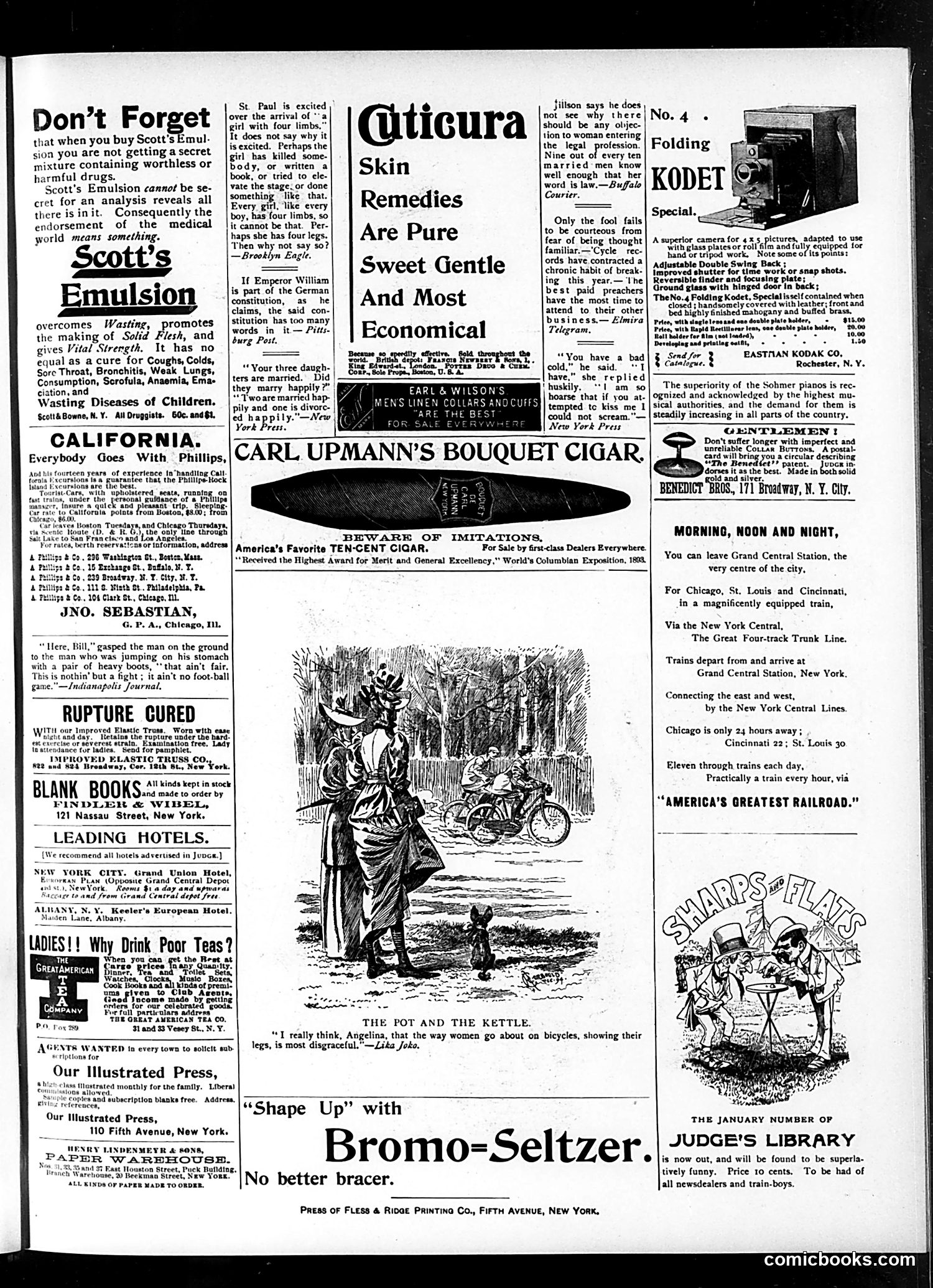 Judge — January 19, 1895 — page 15 of 16