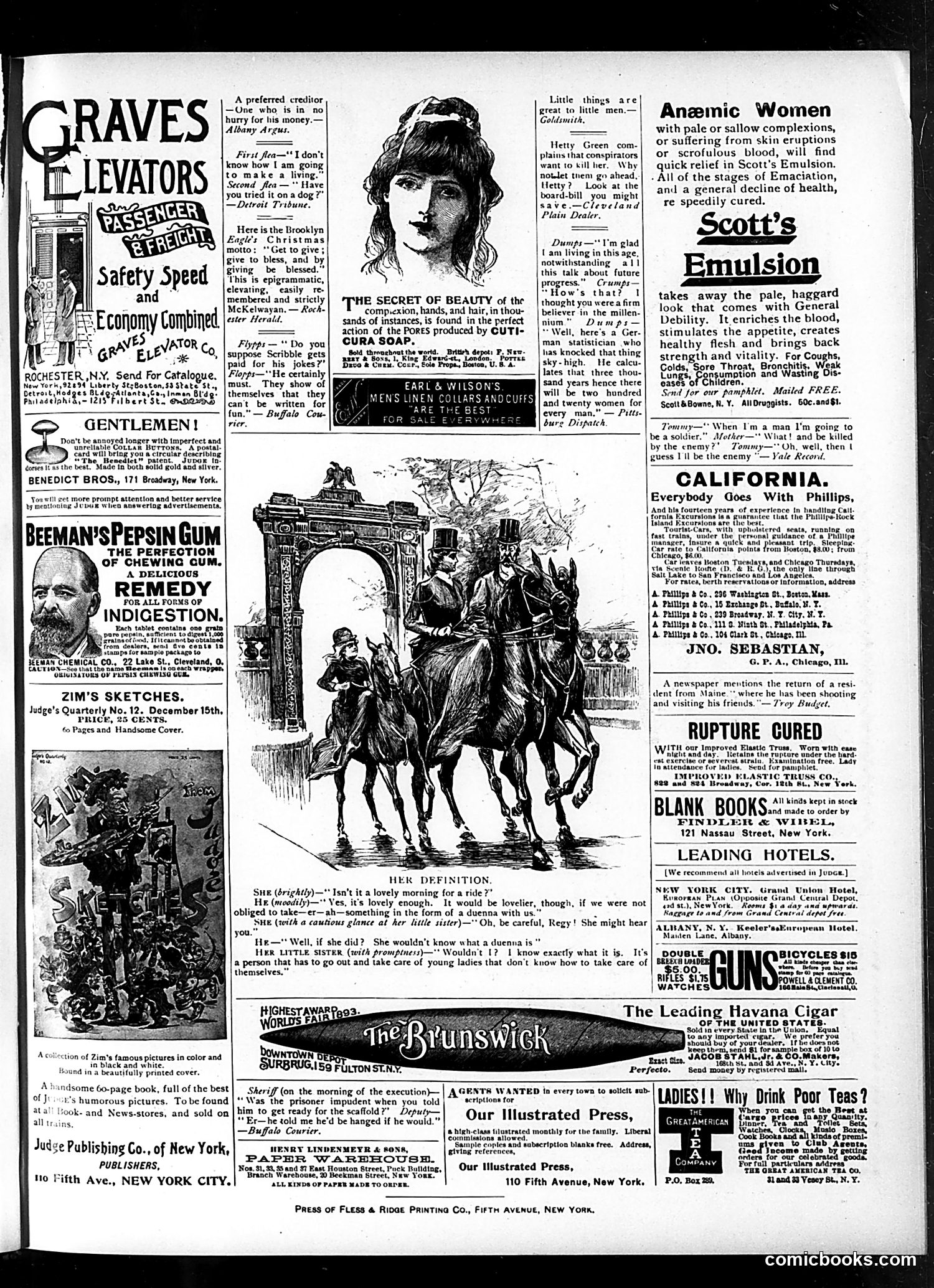Judge — January 26, 1895 — page 15 of 16