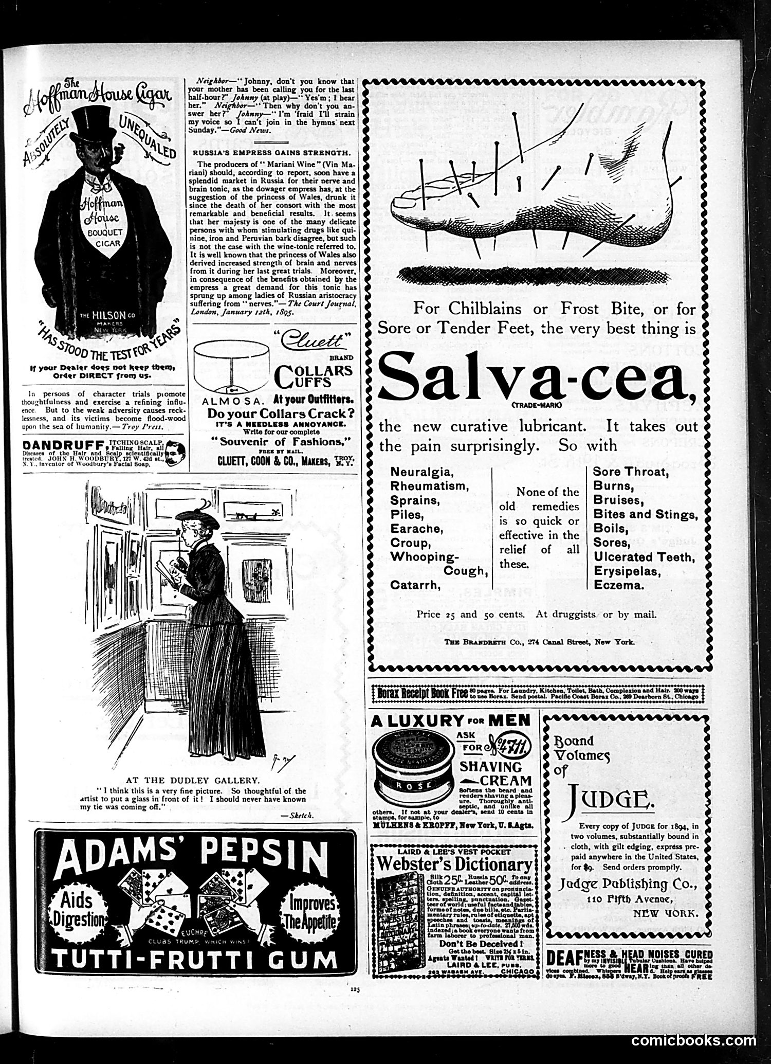 Judge — February 23, 1895 — page 13 of 16