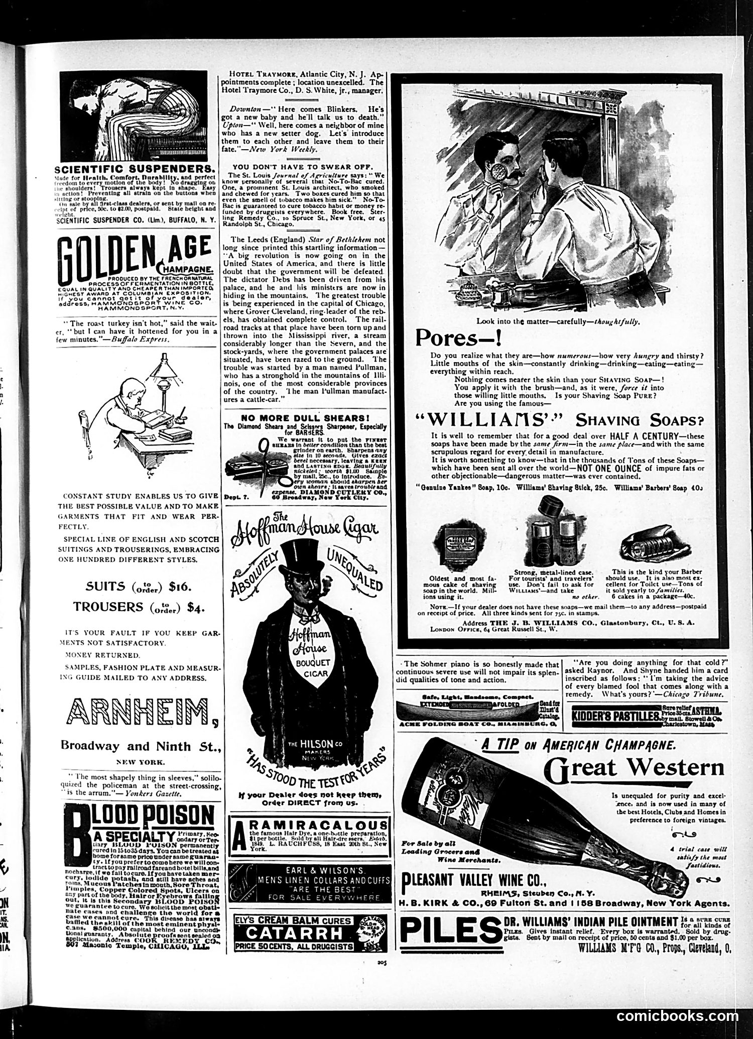 Judge — March 30, 1895 — page 13 of 16