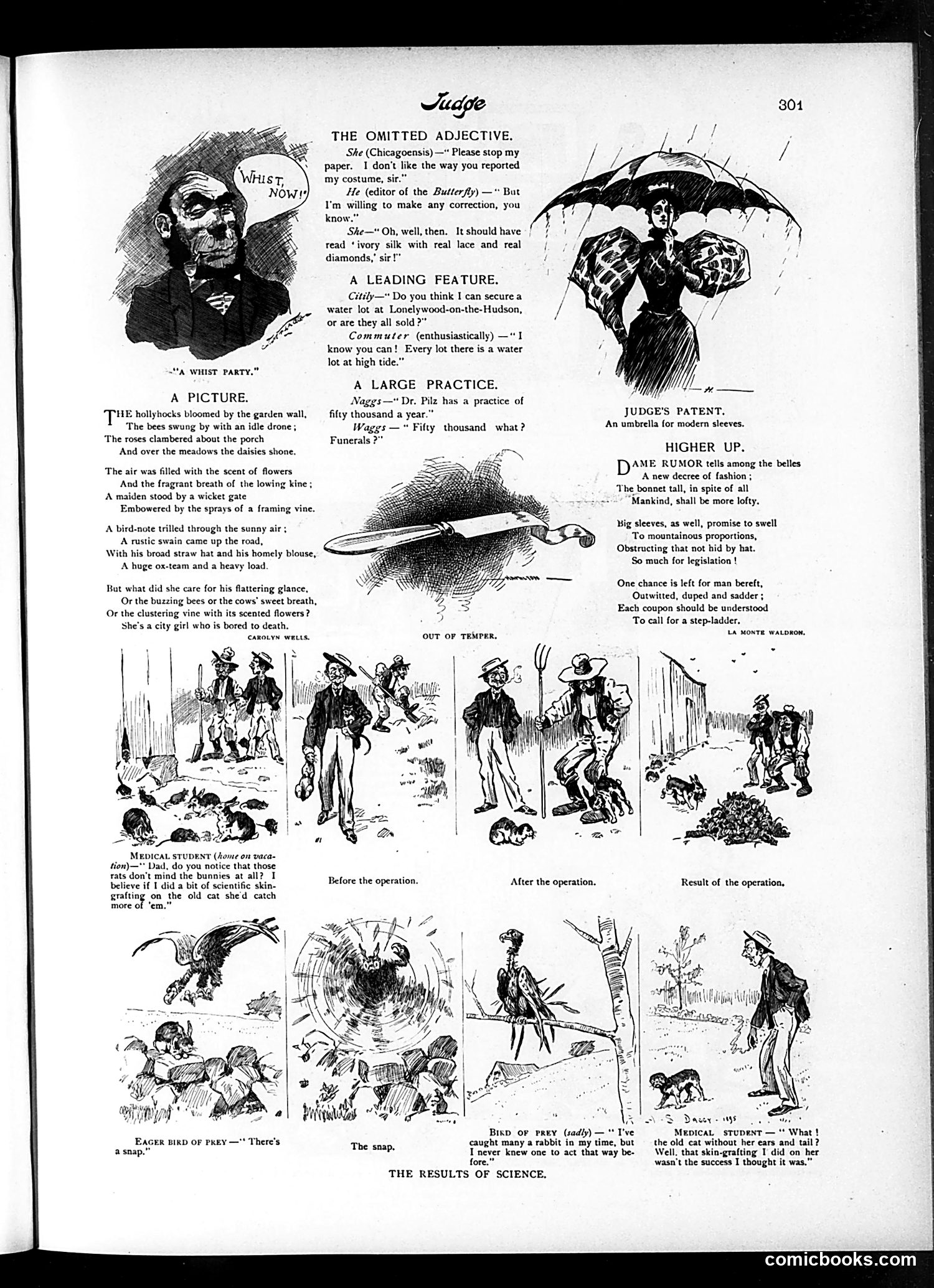 Judge — May 11, 1895 — page 5 of 16