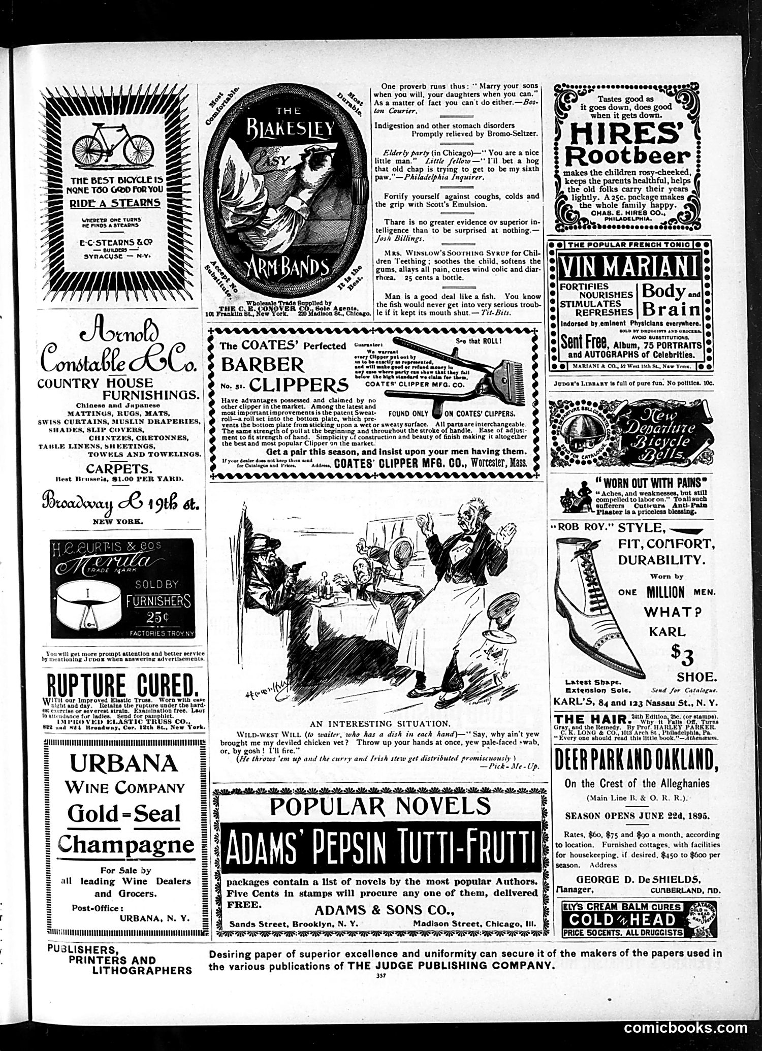 Judge — June 1, 1895 — page 13 of 16