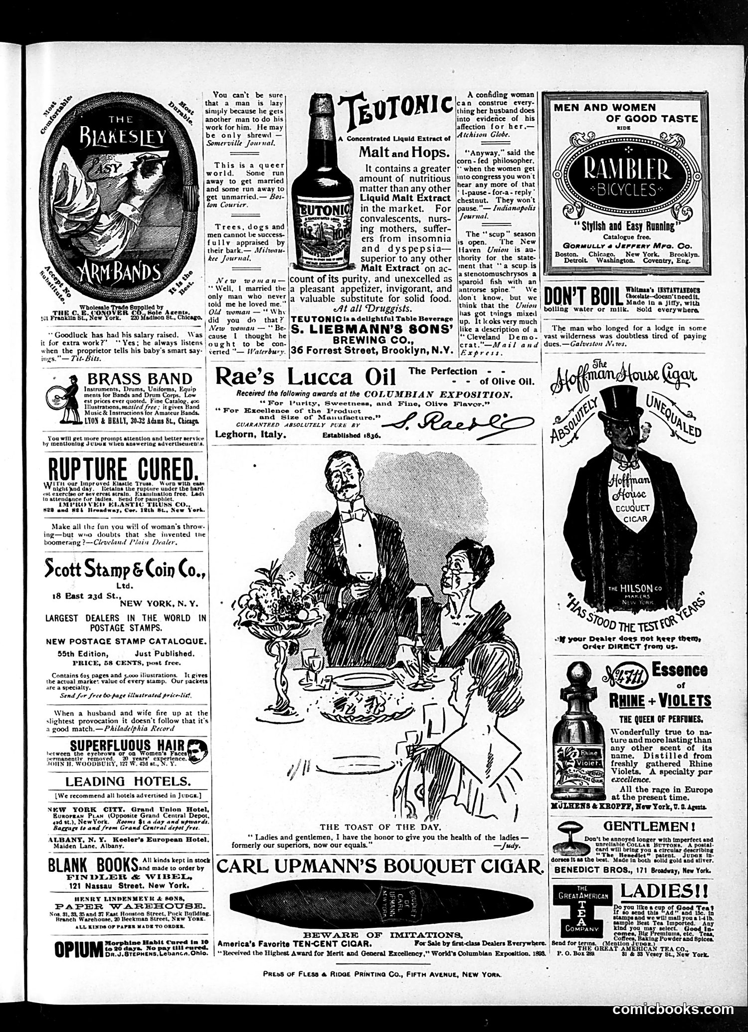 Judge — June 29, 1895 — page 15 of 17