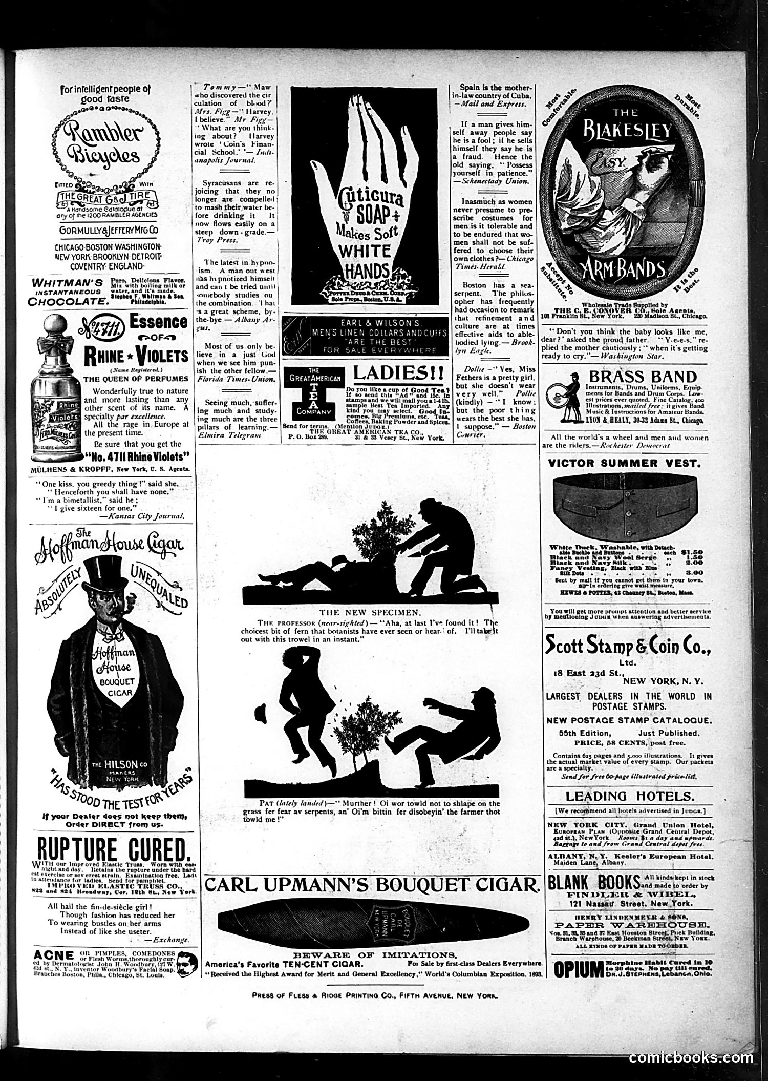 Judge — July 13, 1895 — page 15 of 16