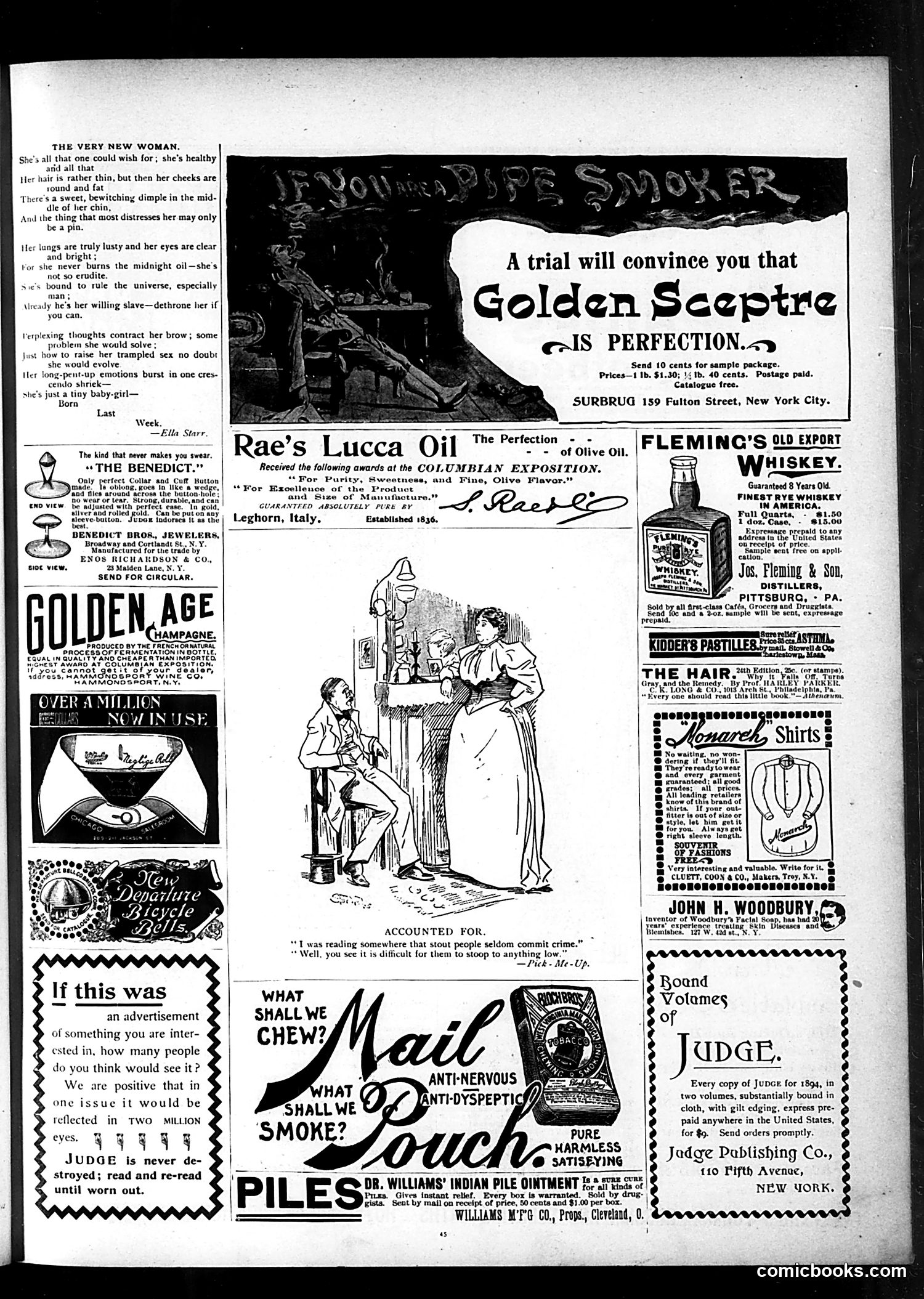 Judge — July 20, 1895 — page 13 of 16