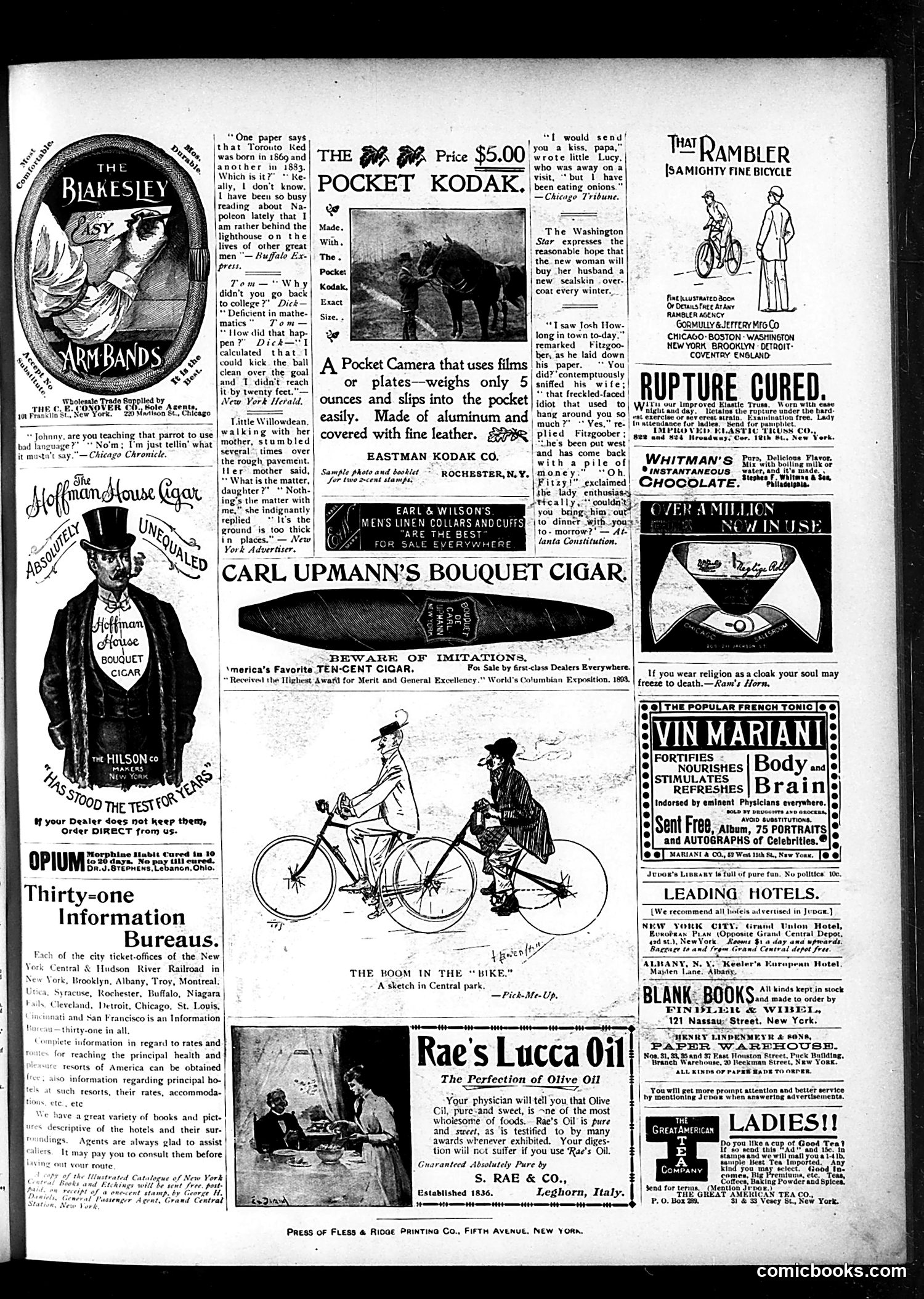 Judge — August 10, 1895 — page 15 of 16