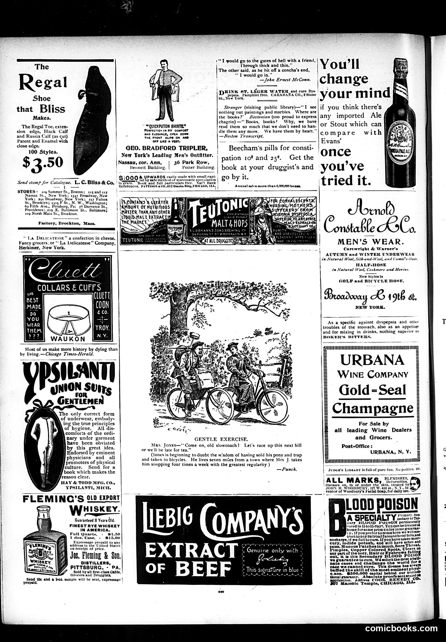 Judge — October 5, 1895 — page 12 of 16