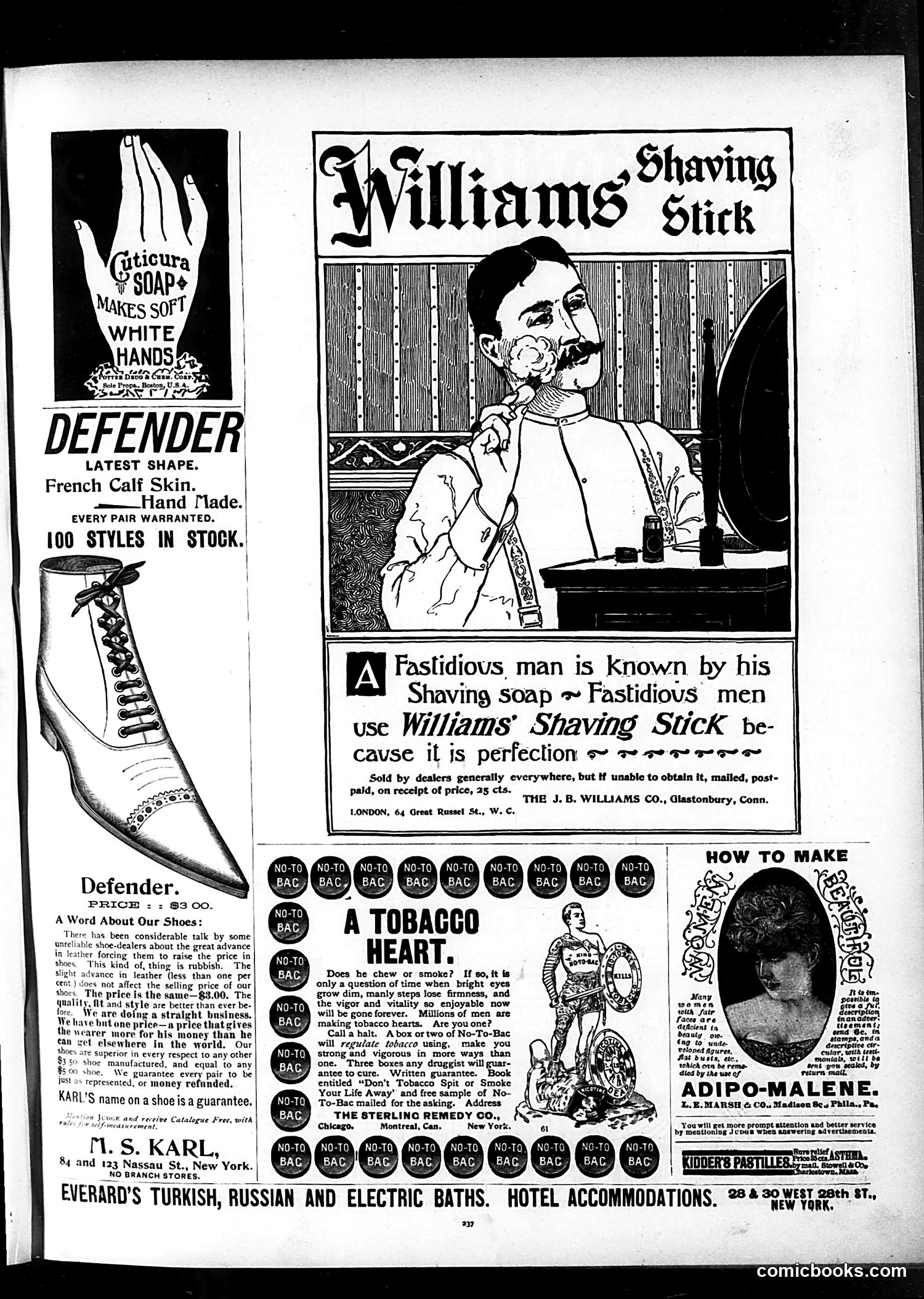 Judge — October 12, 1895 — page 13 of 16