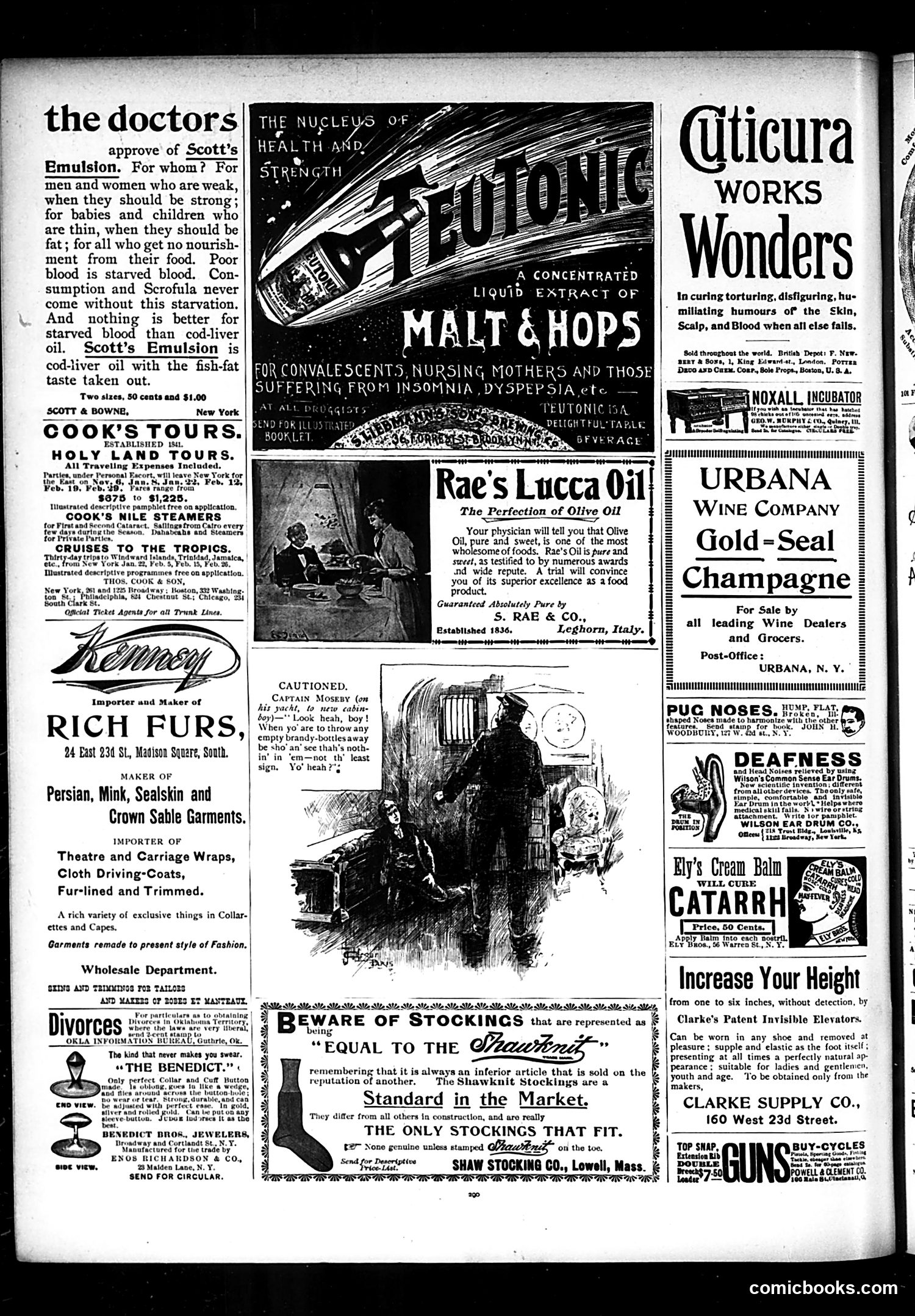 Judge — November 2, 1895 — page 14 of 16
