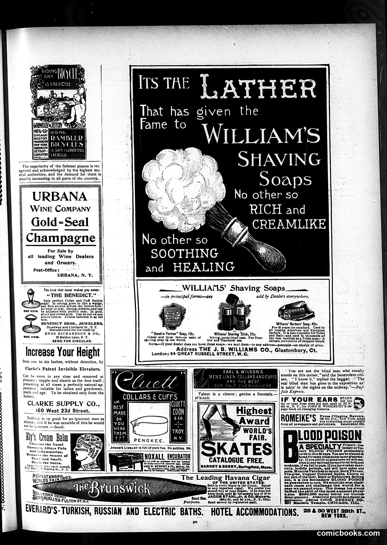 Judge — November 16, 1895 — page 13 of 16