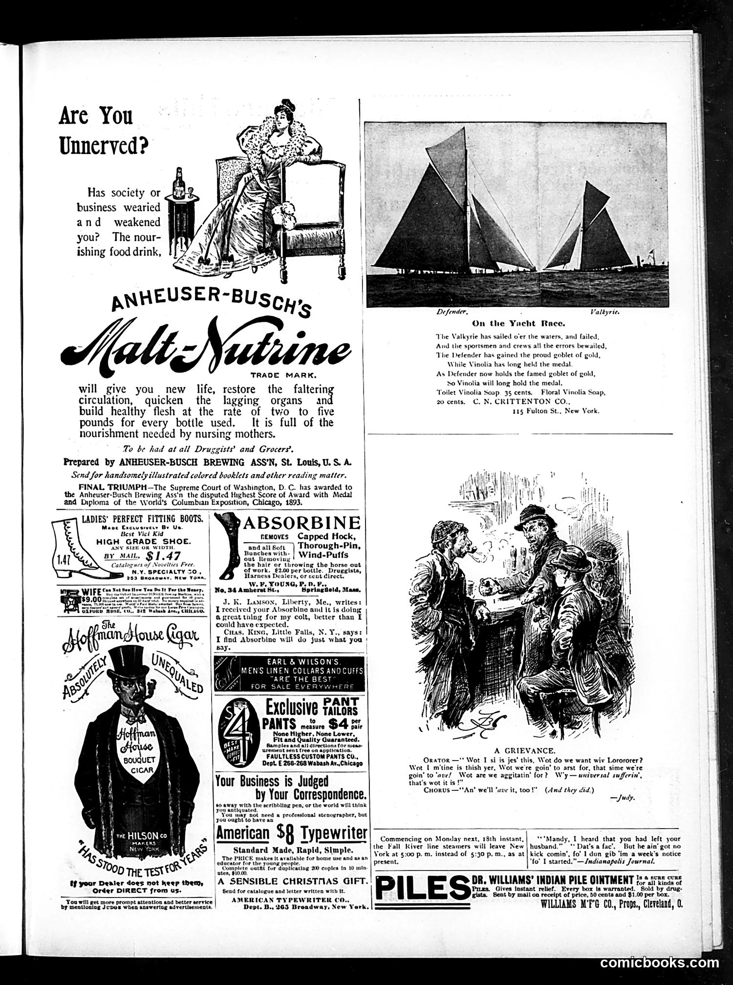 Judge — November 30, 1895 — page 15 of 18