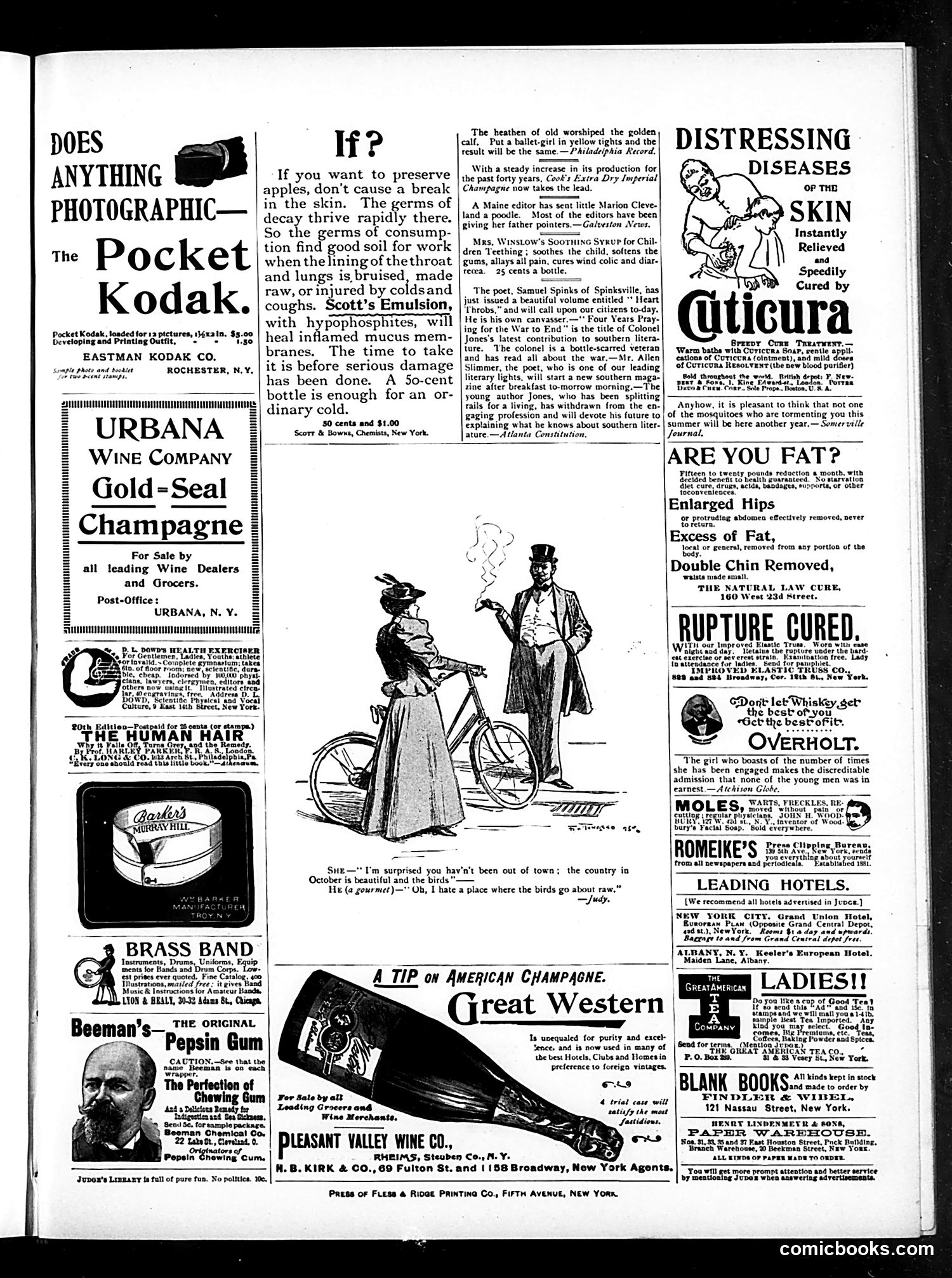 Judge — November 30, 1895 — page 17 of 18