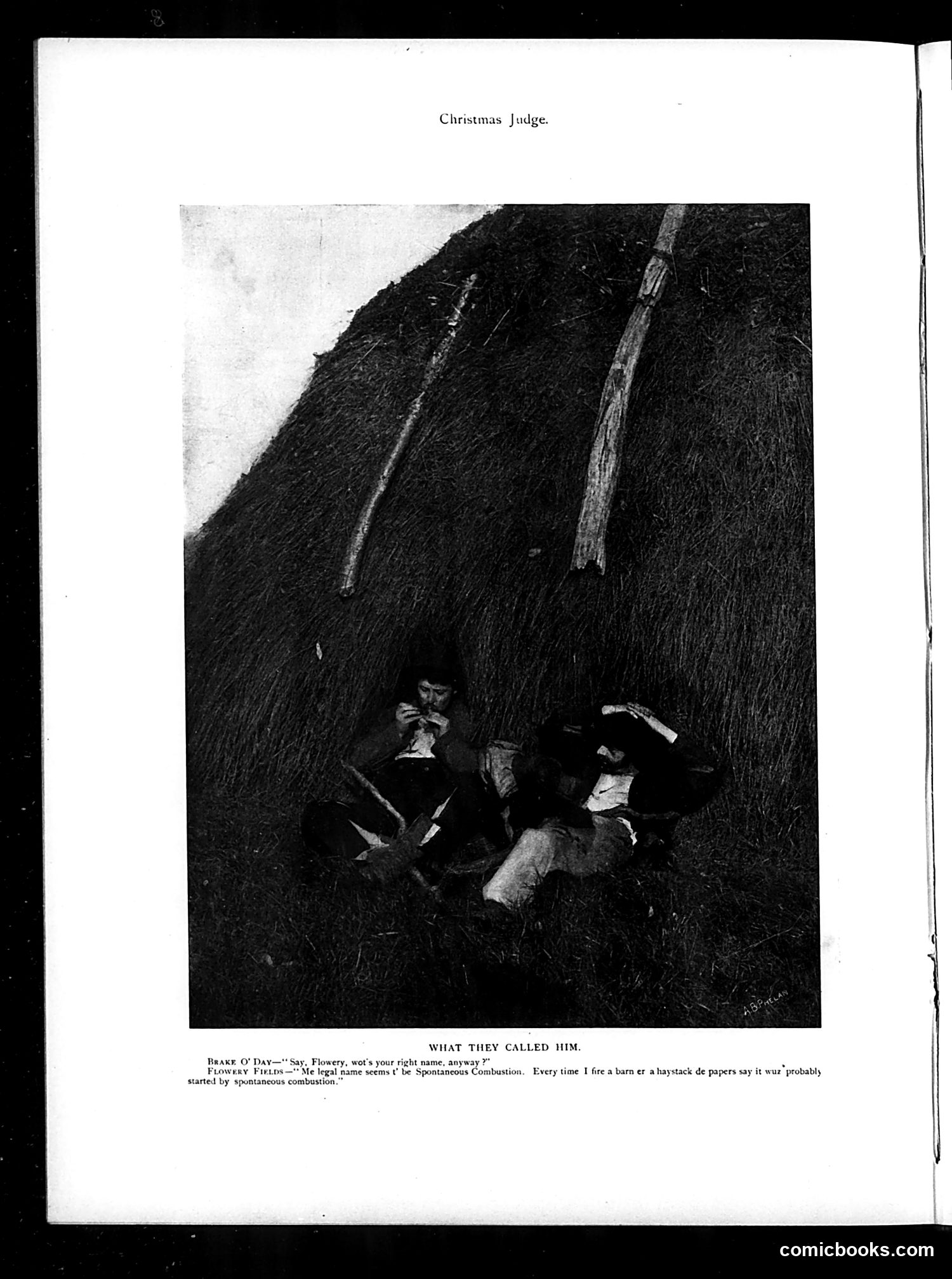 Judge — December 7, 1895 — page 24 of 48
