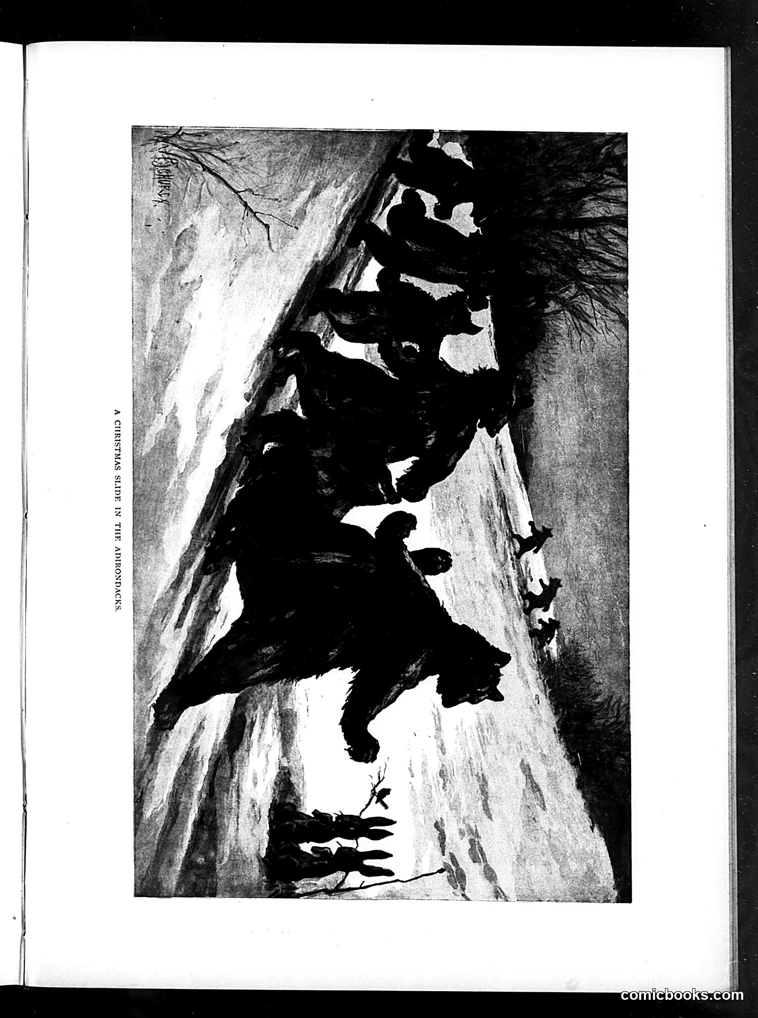 Judge — December 7, 1895 — page 31 of 48