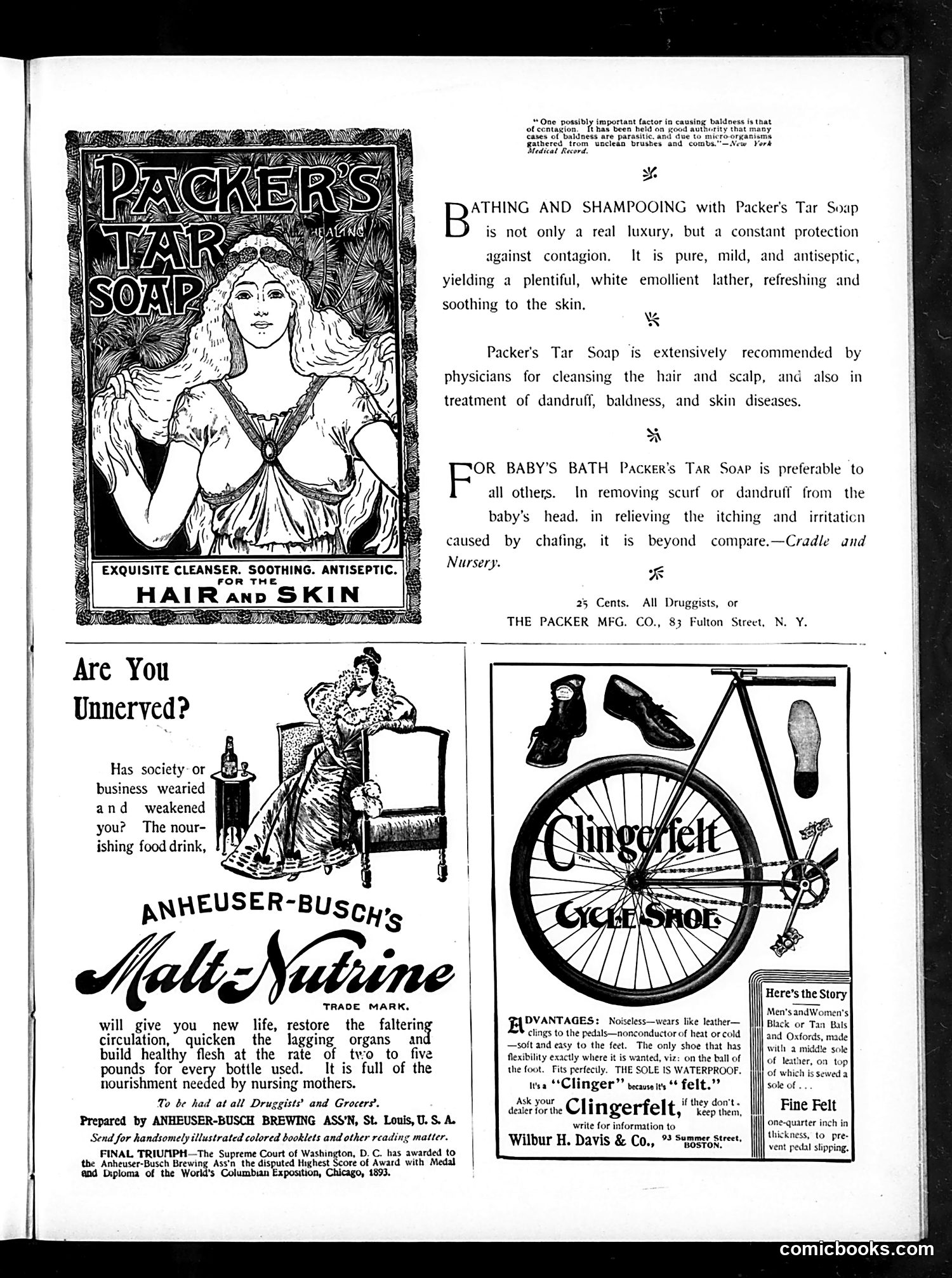 Judge — December 7, 1895 — page 41 of 48