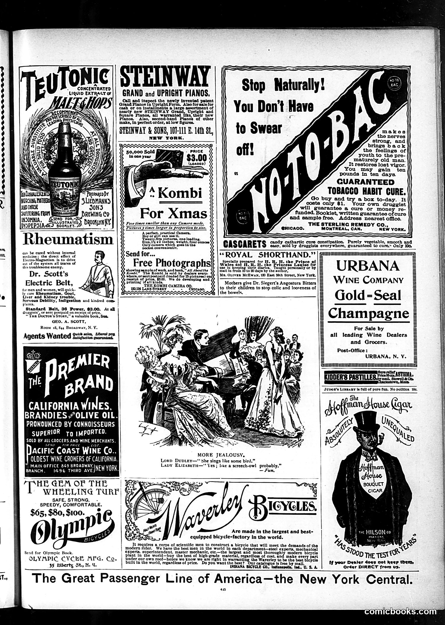 Judge — December 21, 1895 — page 13 of 16
