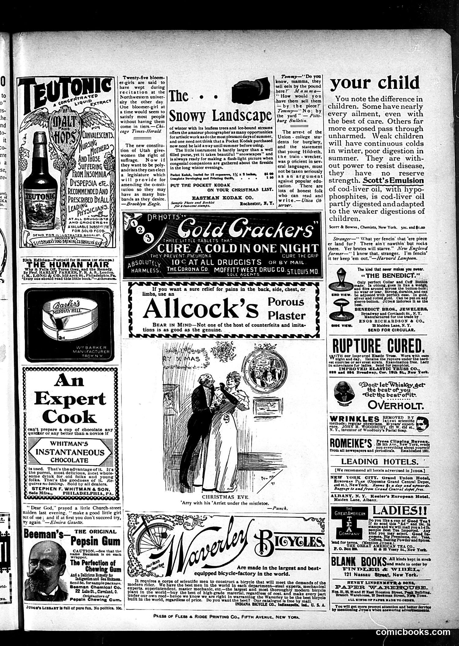 Judge — December 28, 1895 — page 15 of 17