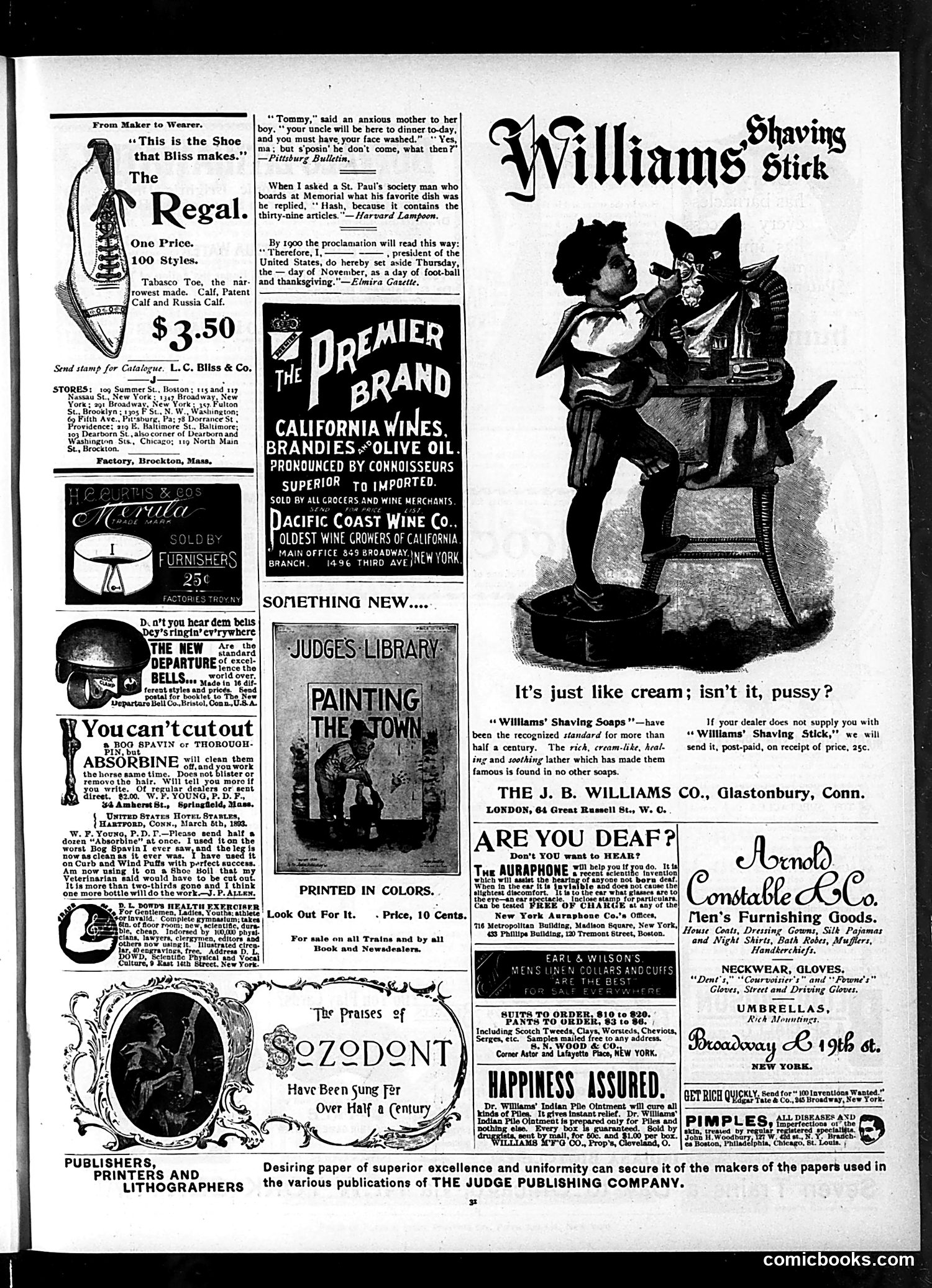 Judge — January 11, 1896 — page 13 of 16