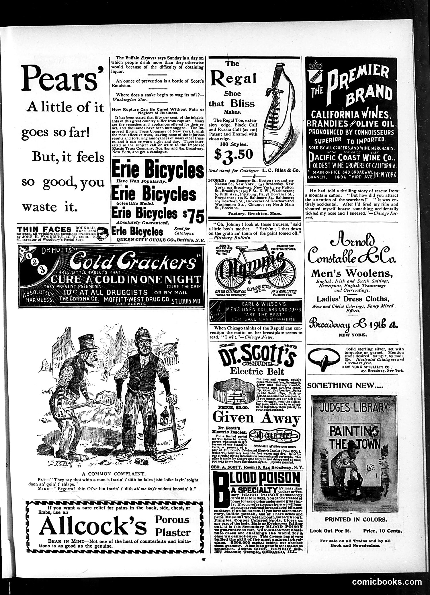 Judge — January 18, 1896 — page 13 of 16