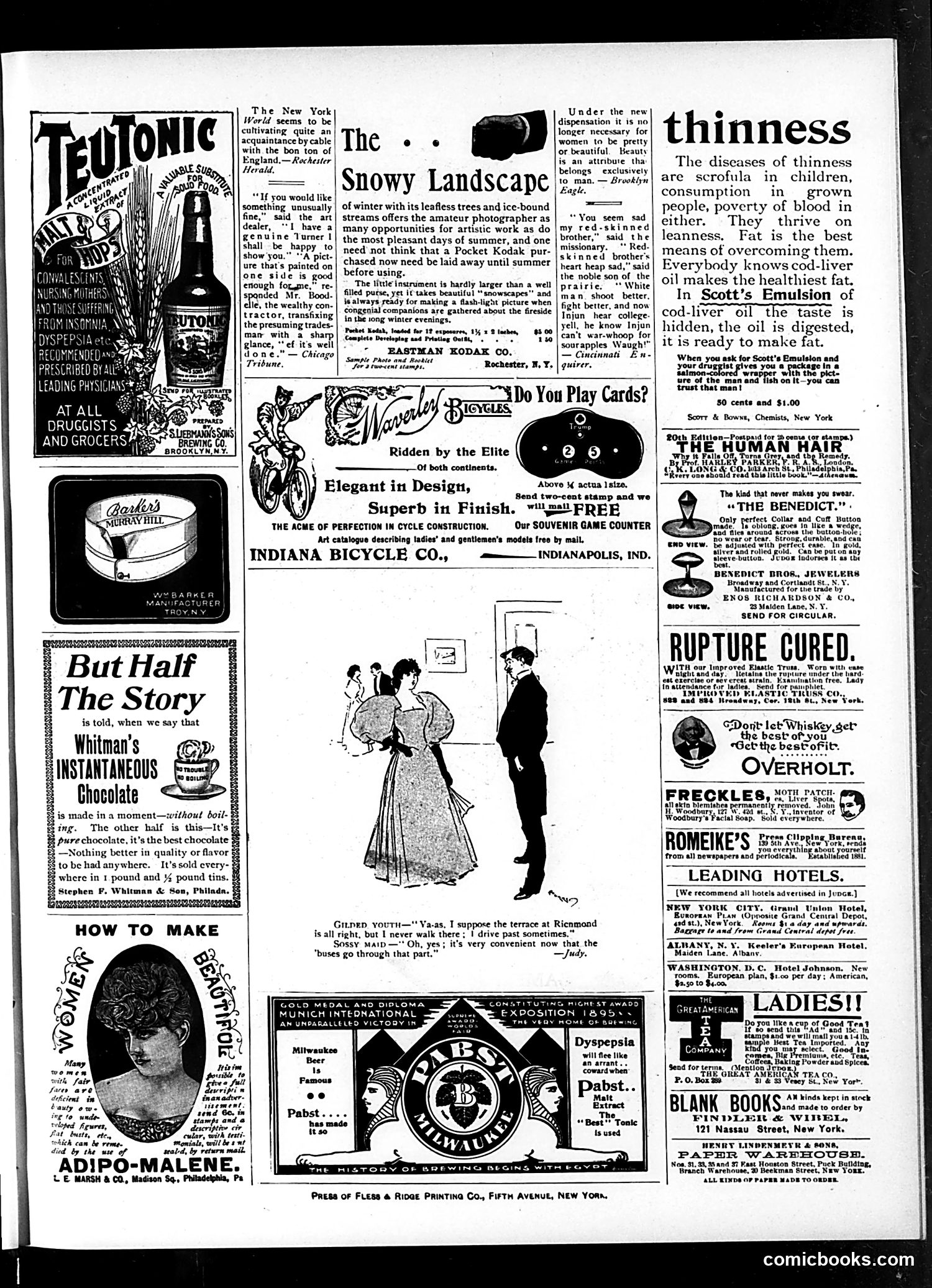 Judge — January 18, 1896 — page 15 of 16