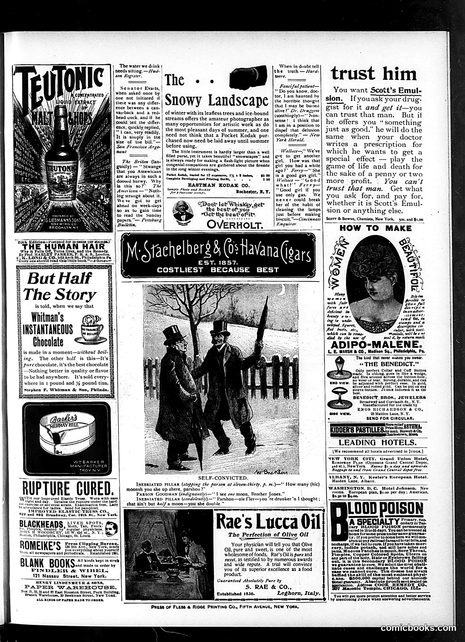 Judge — February 15, 1896 — page 15 of 16