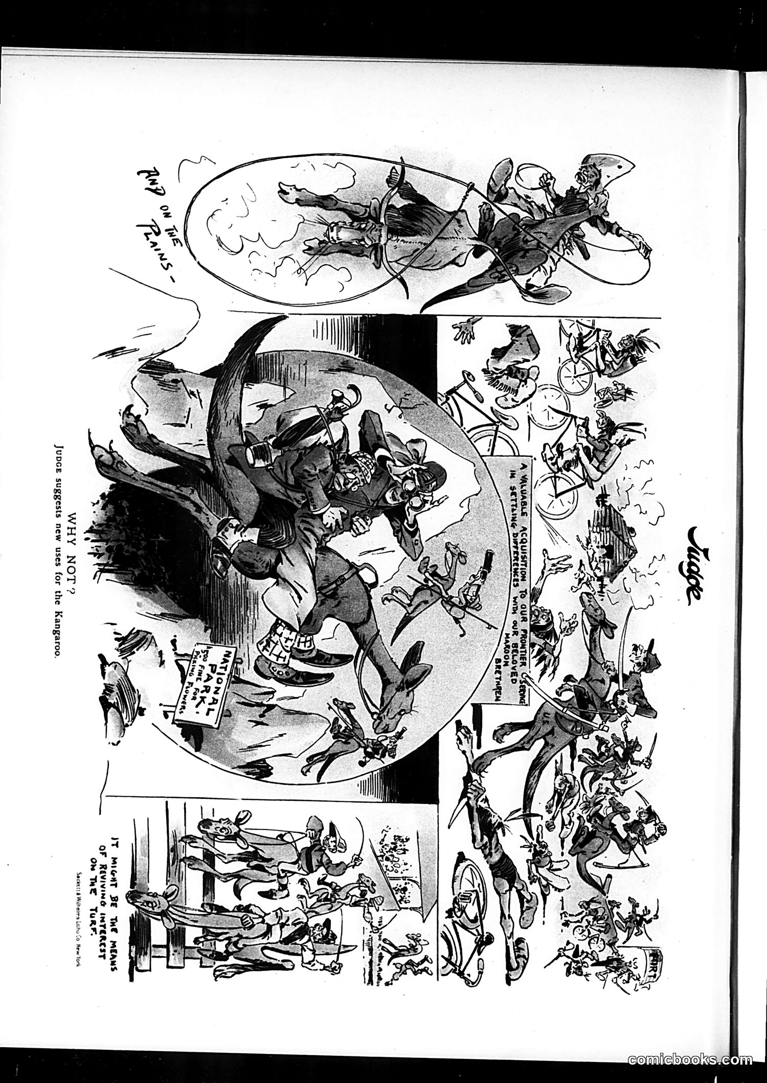 Judge — March 14, 1896 — page 16 of 16