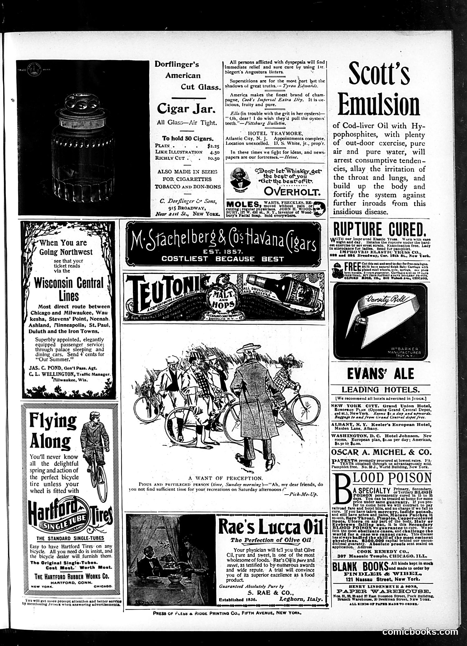 Judge — May 30, 1896 — page 15 of 16
