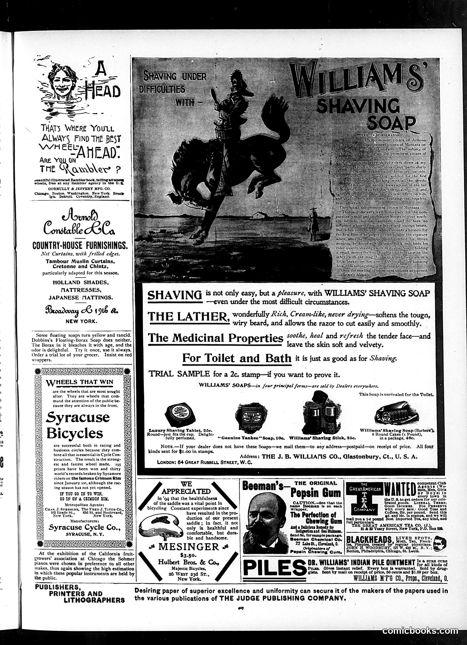 Judge — June 13, 1896 — page 13 of 16