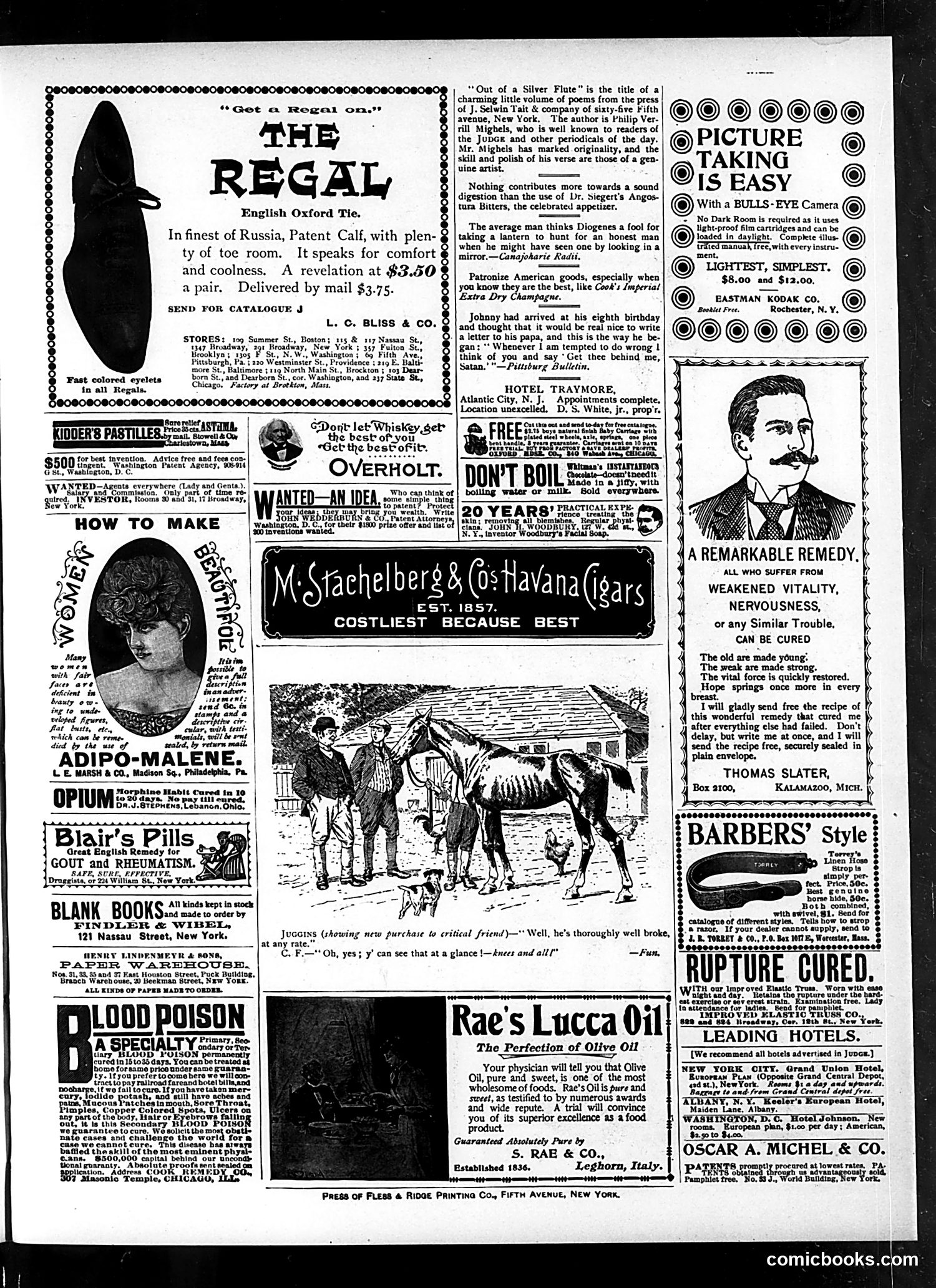 Judge — June 20, 1896 — page 19 of 22