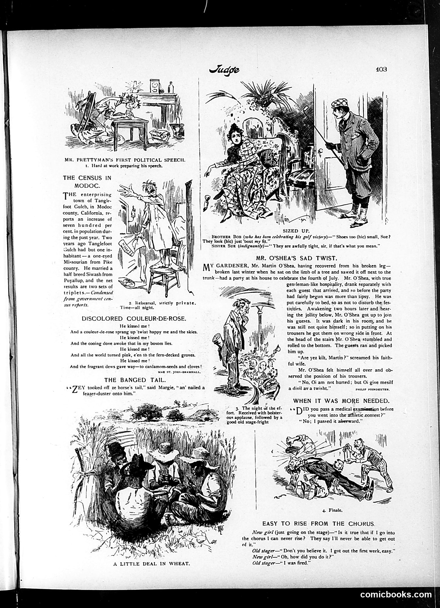 Judge — August 15, 1896 — page 7 of 16