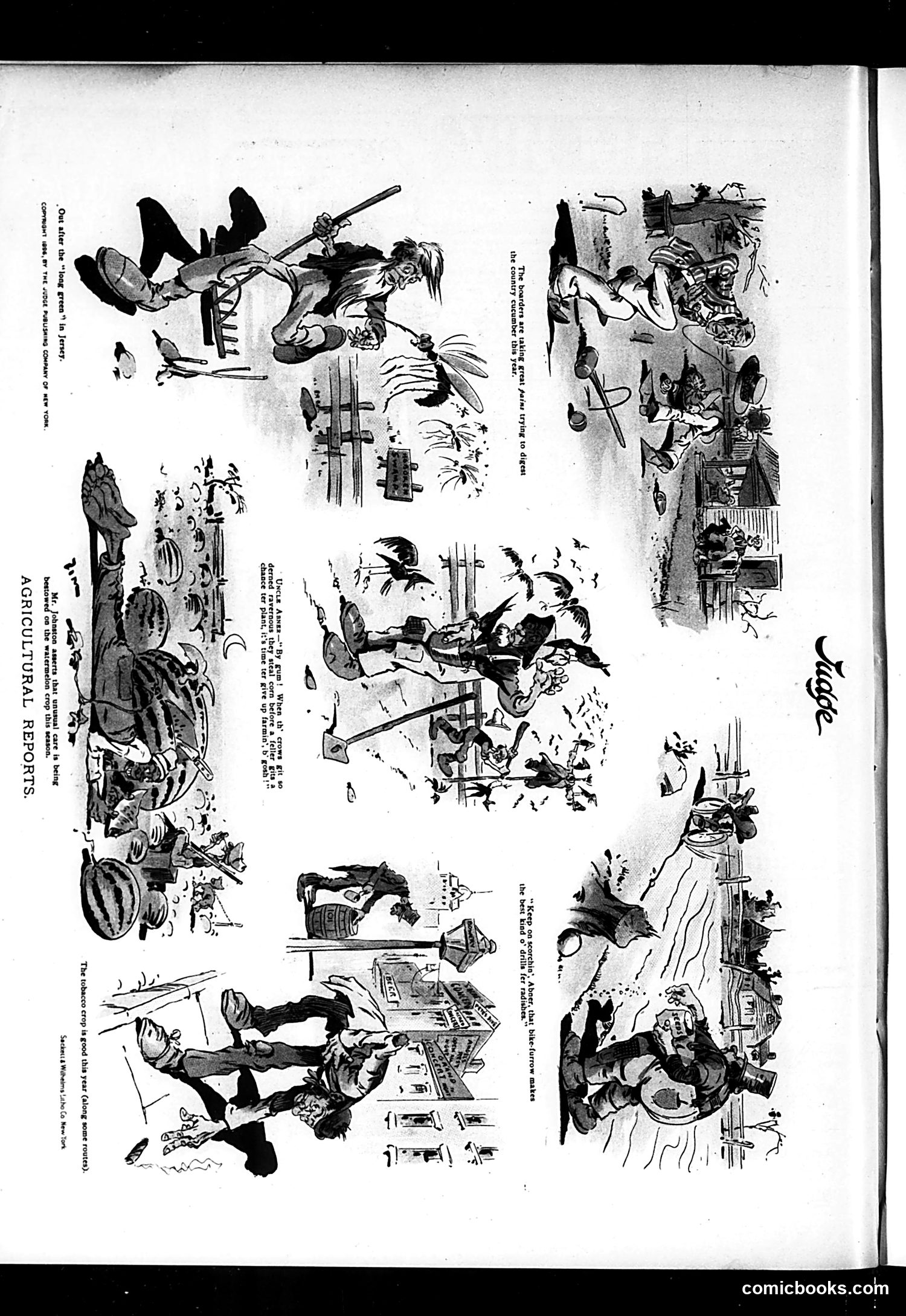 Judge — August 15, 1896 — page 16 of 16