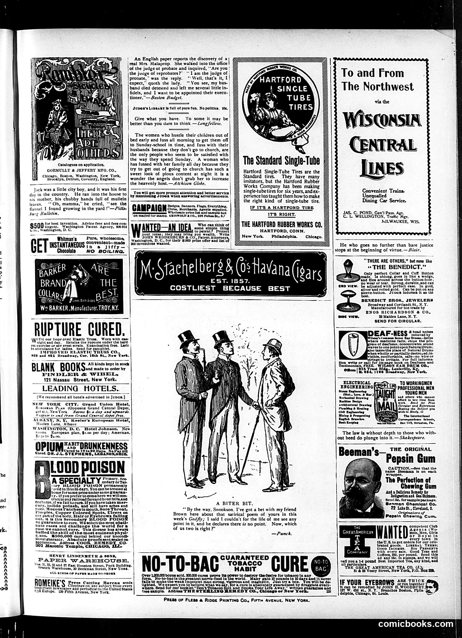 Judge — September 19, 1896 — page 15 of 16