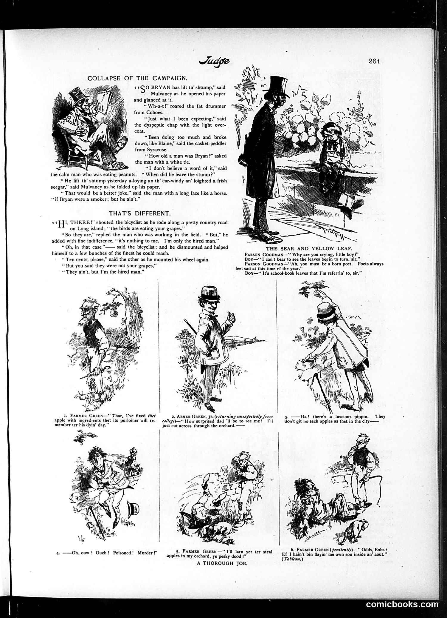 Judge — October 24, 1896 — page 5 of 16