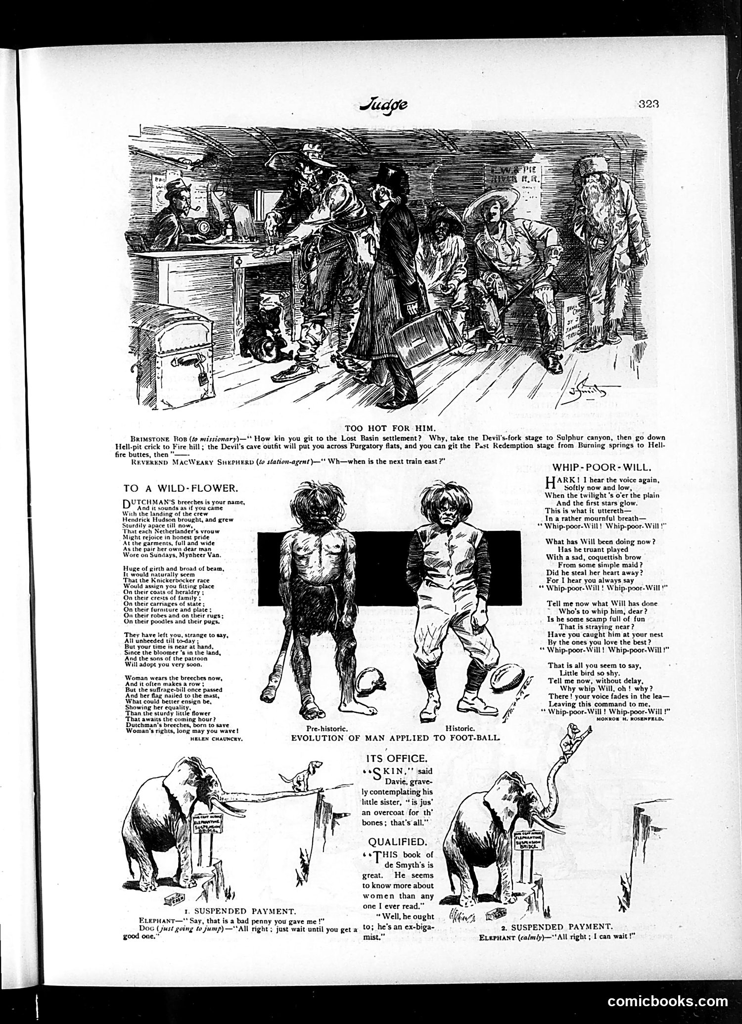 Judge — November 21, 1896 — page 3 of 16