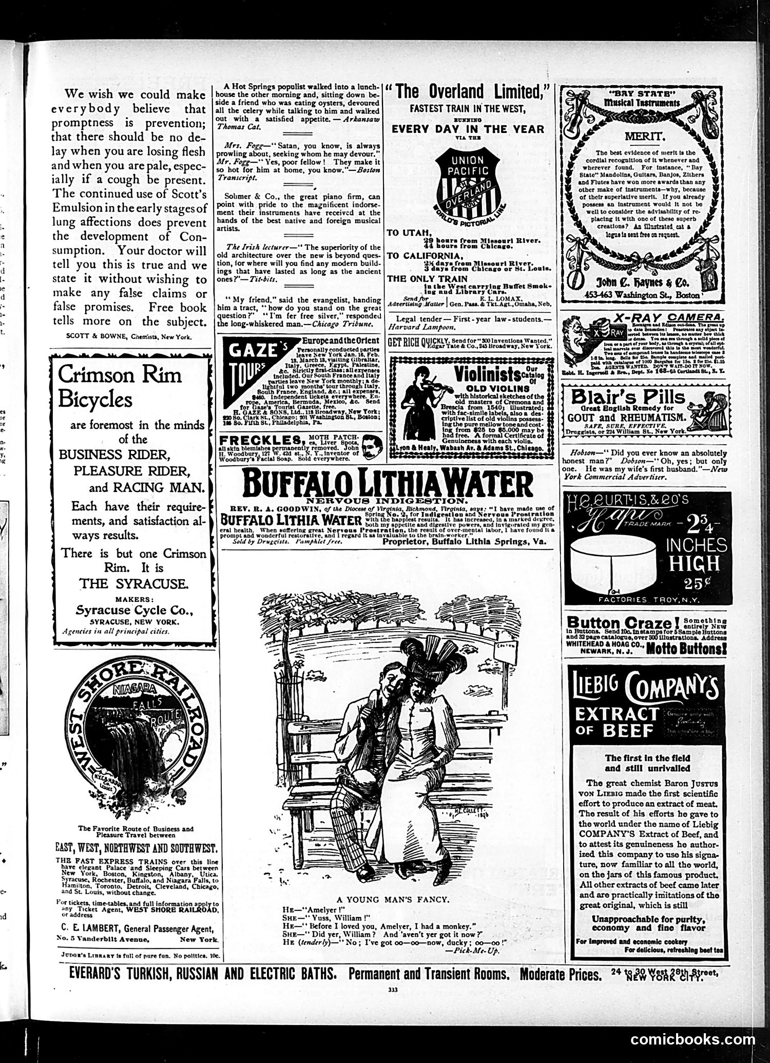 Judge — November 21, 1896 — page 13 of 16